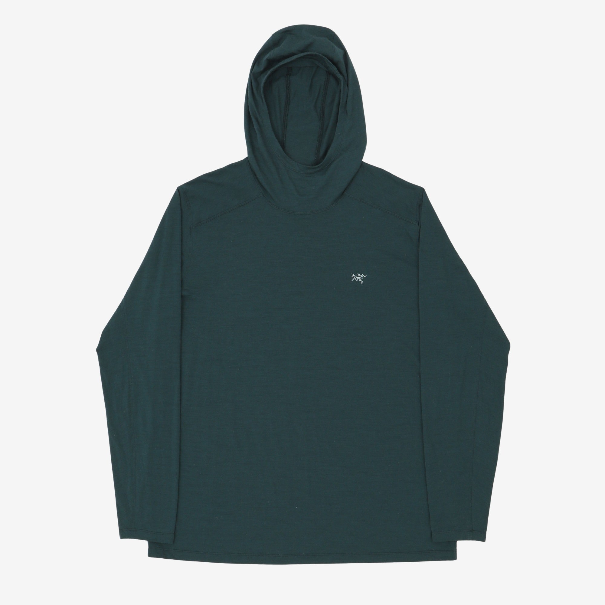 Arcteryx Ionia Merino Wool Hoody – Marrkt