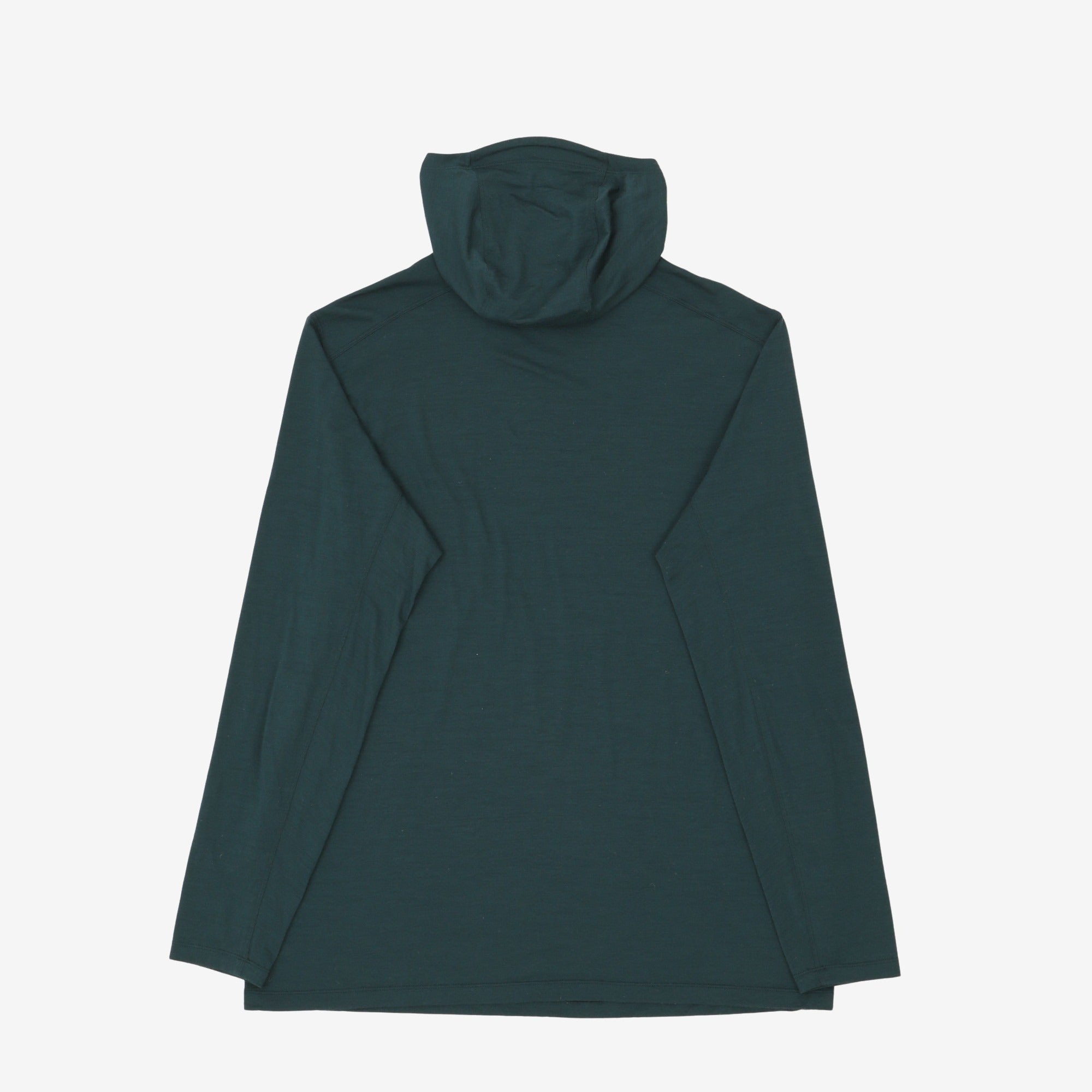 Ionia Merino Wool Hoody
