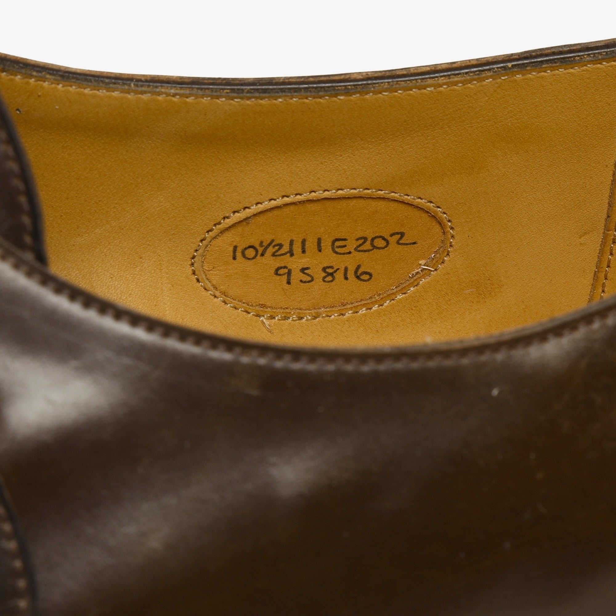 Shelley Monk Strap + Trees (Shell)