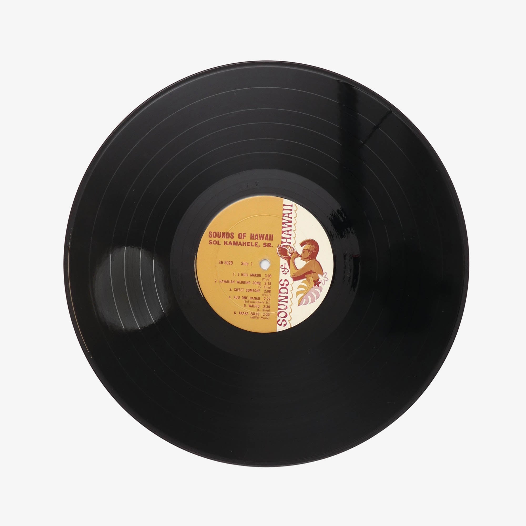 Sounds of Hawaii Record