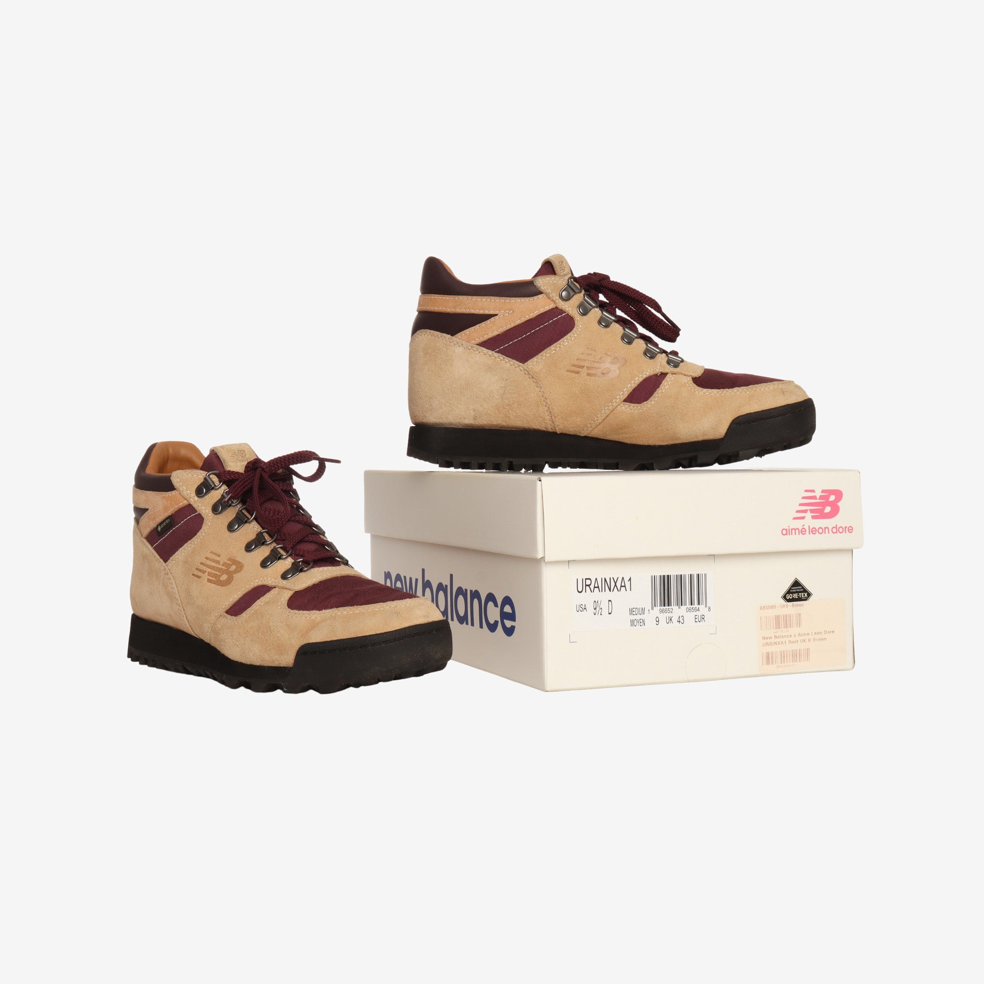 Rainier GTX Hiking Shoe