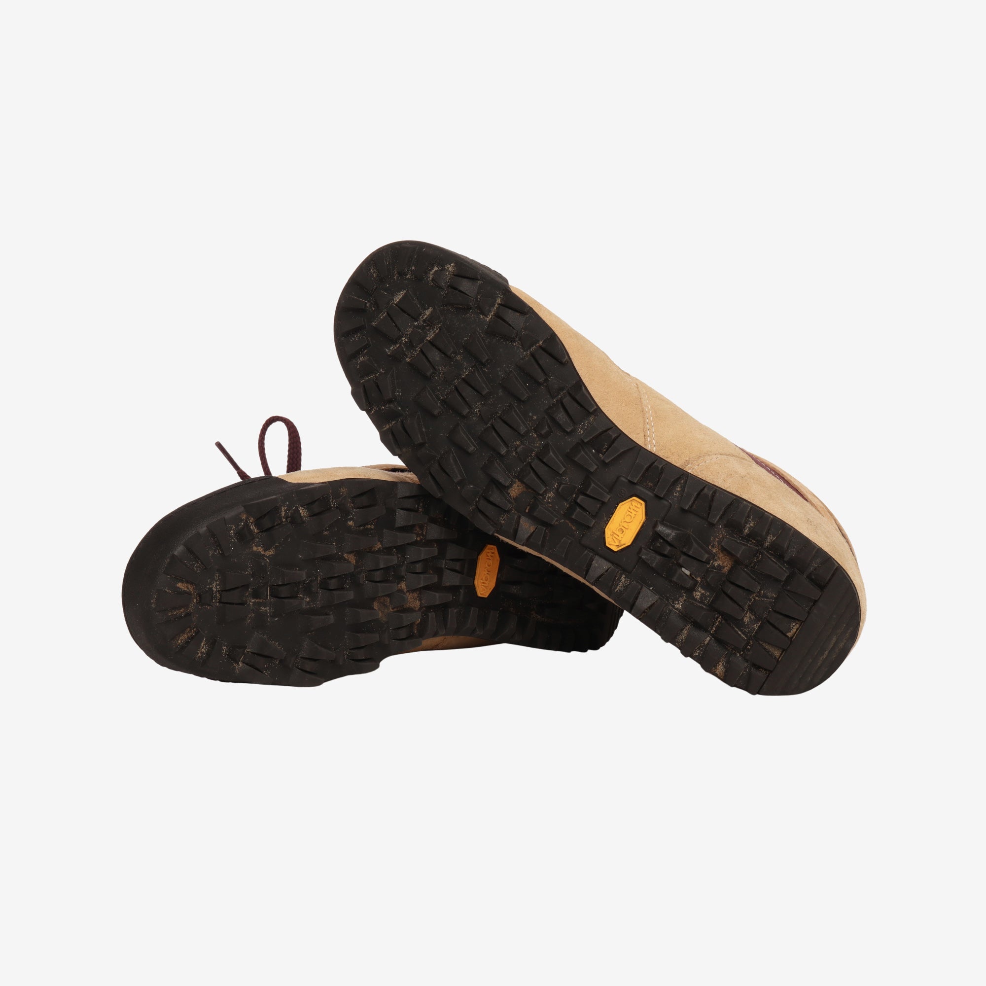 Rainier GTX Hiking Shoe