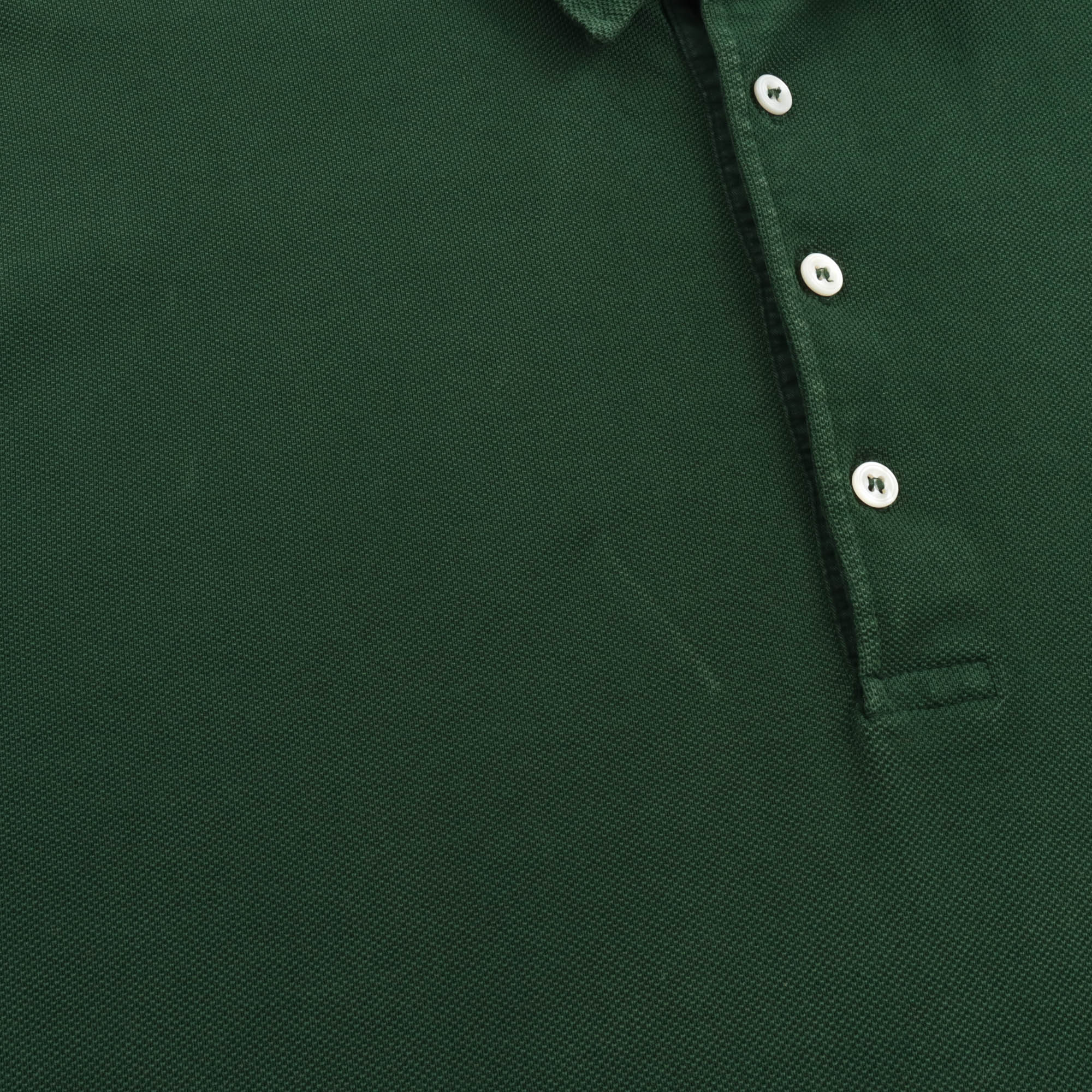 LS Polo