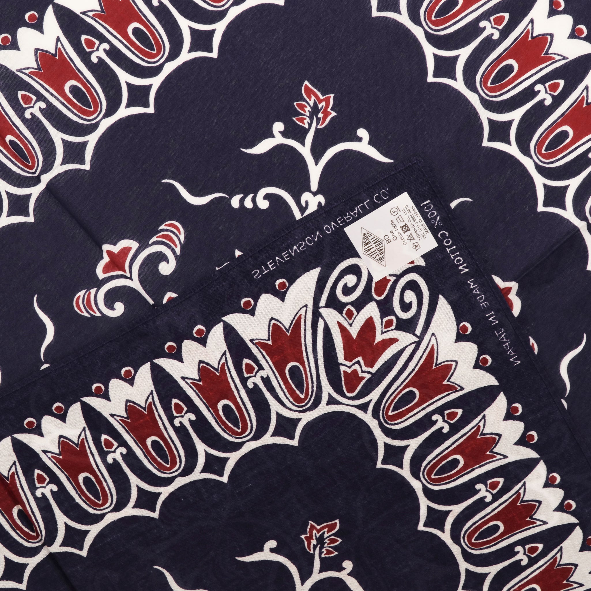 Paisley Bandana