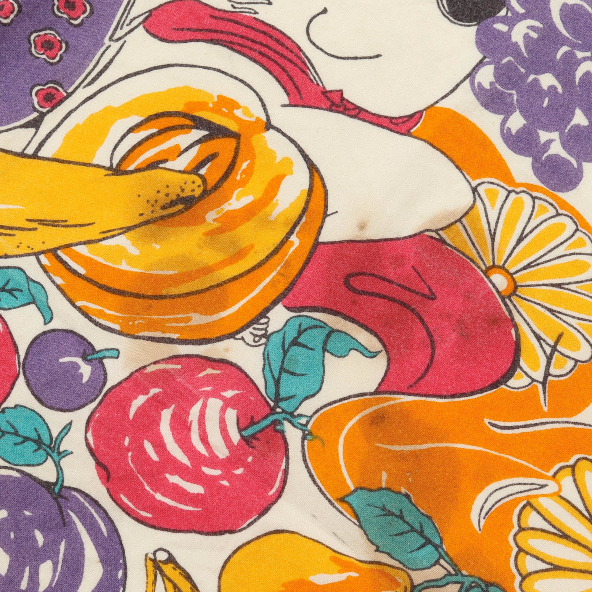 Fruit Shunga Color Bandana