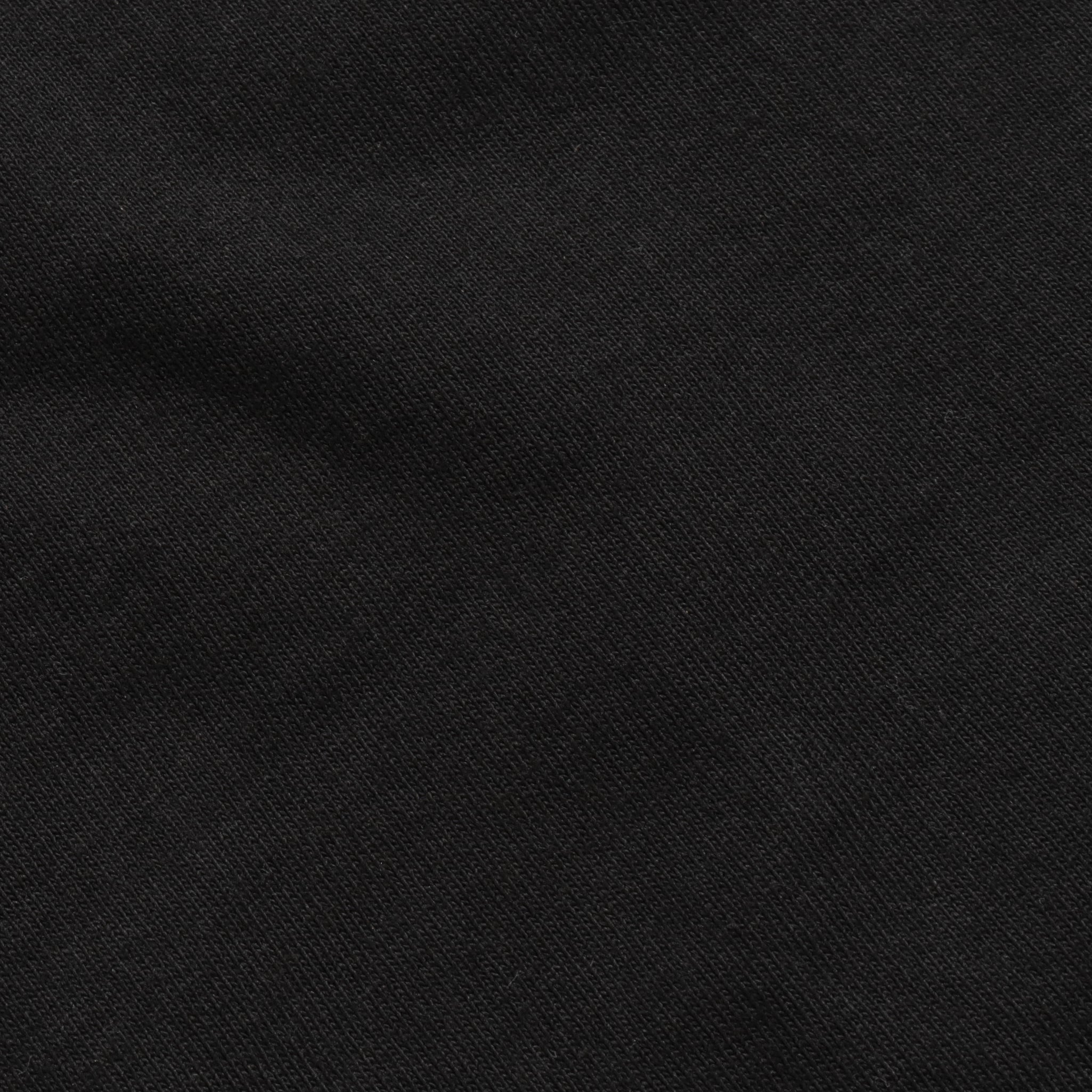 Long Sleeve T-Shirt (Made in Japan)