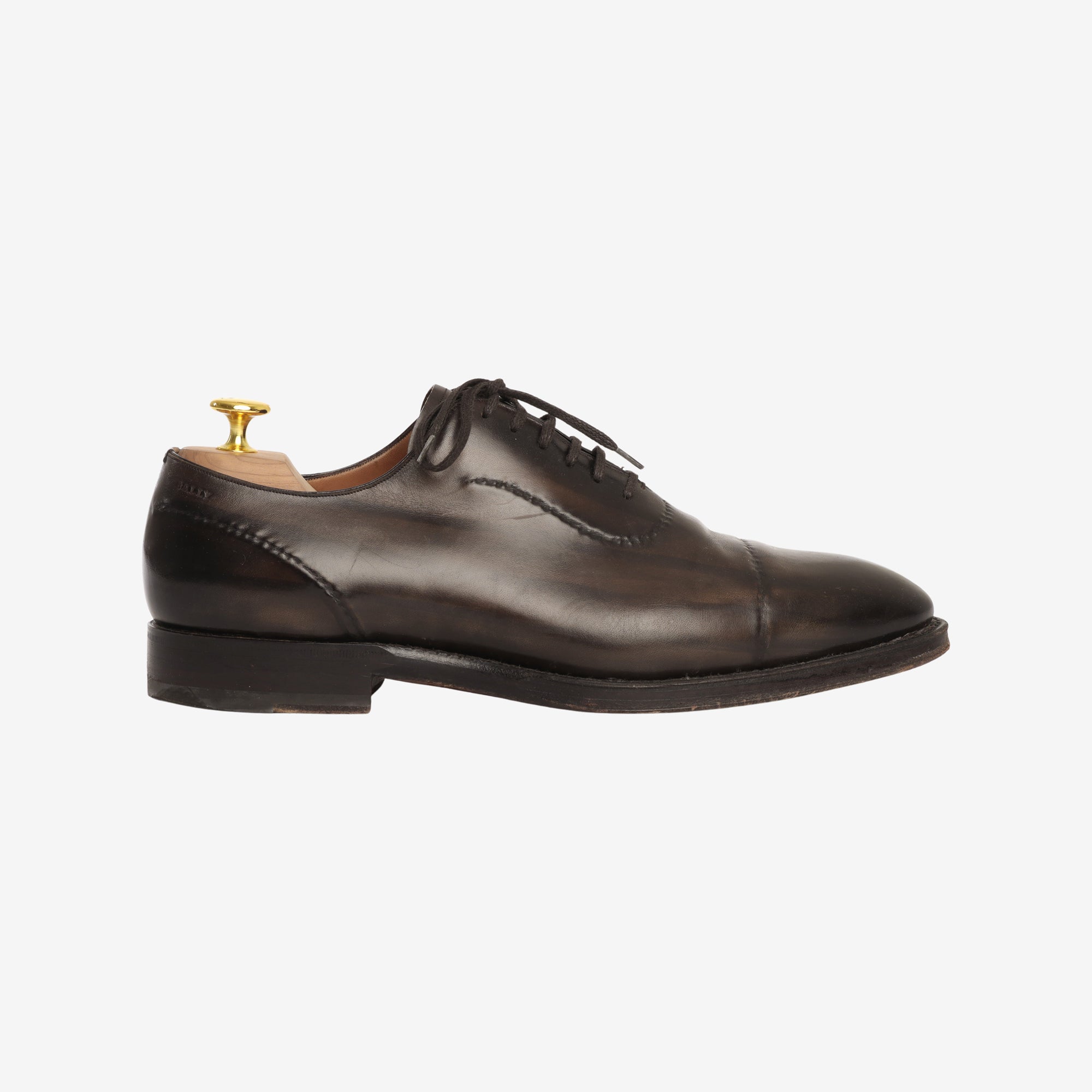 Scanzi Scribe Oxfords + Trees
