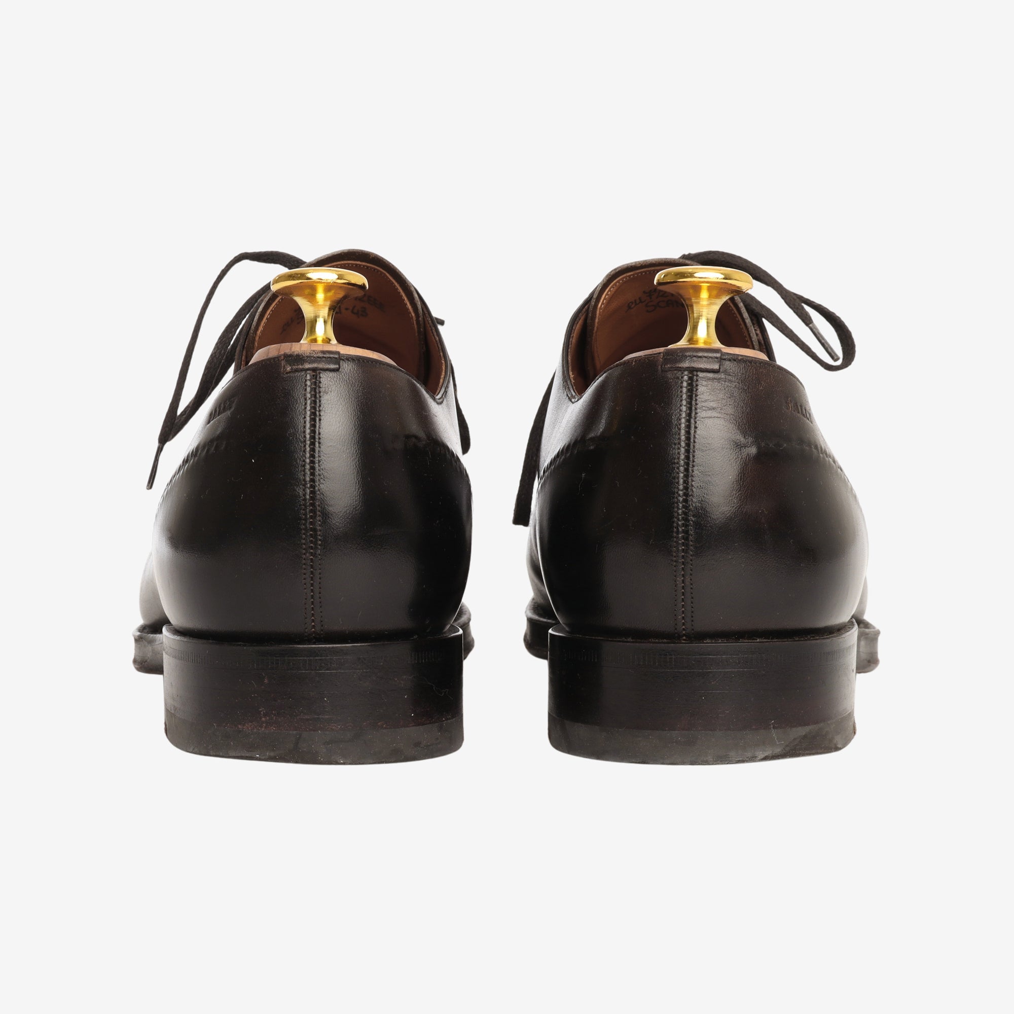 Scanzi Scribe Oxfords + Trees