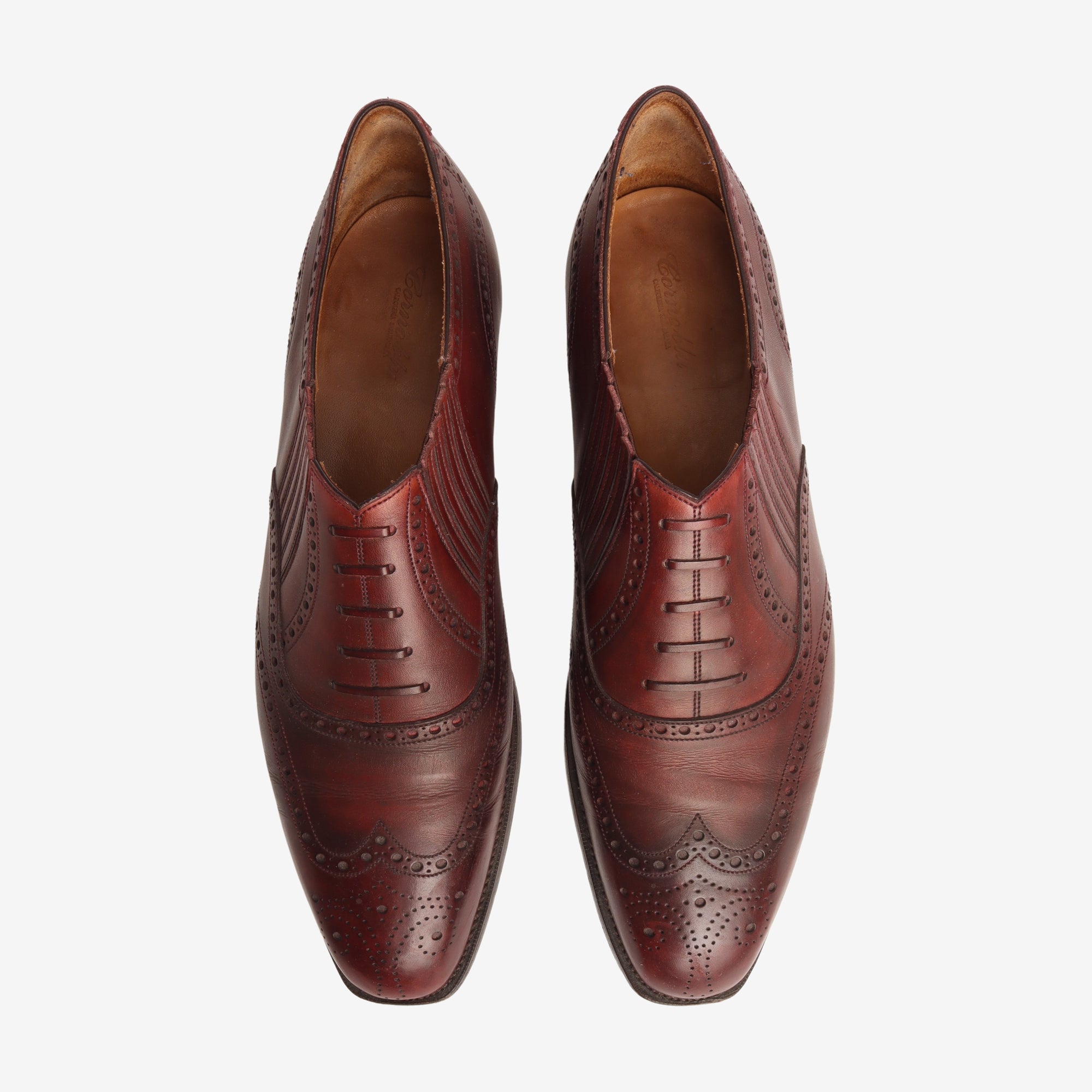 Leo Sideelastic Lazyman + Trees