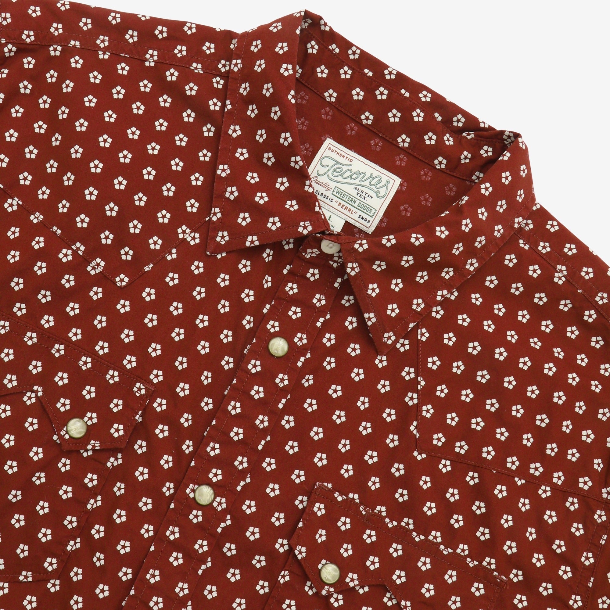Pearl Snap Western Shirt