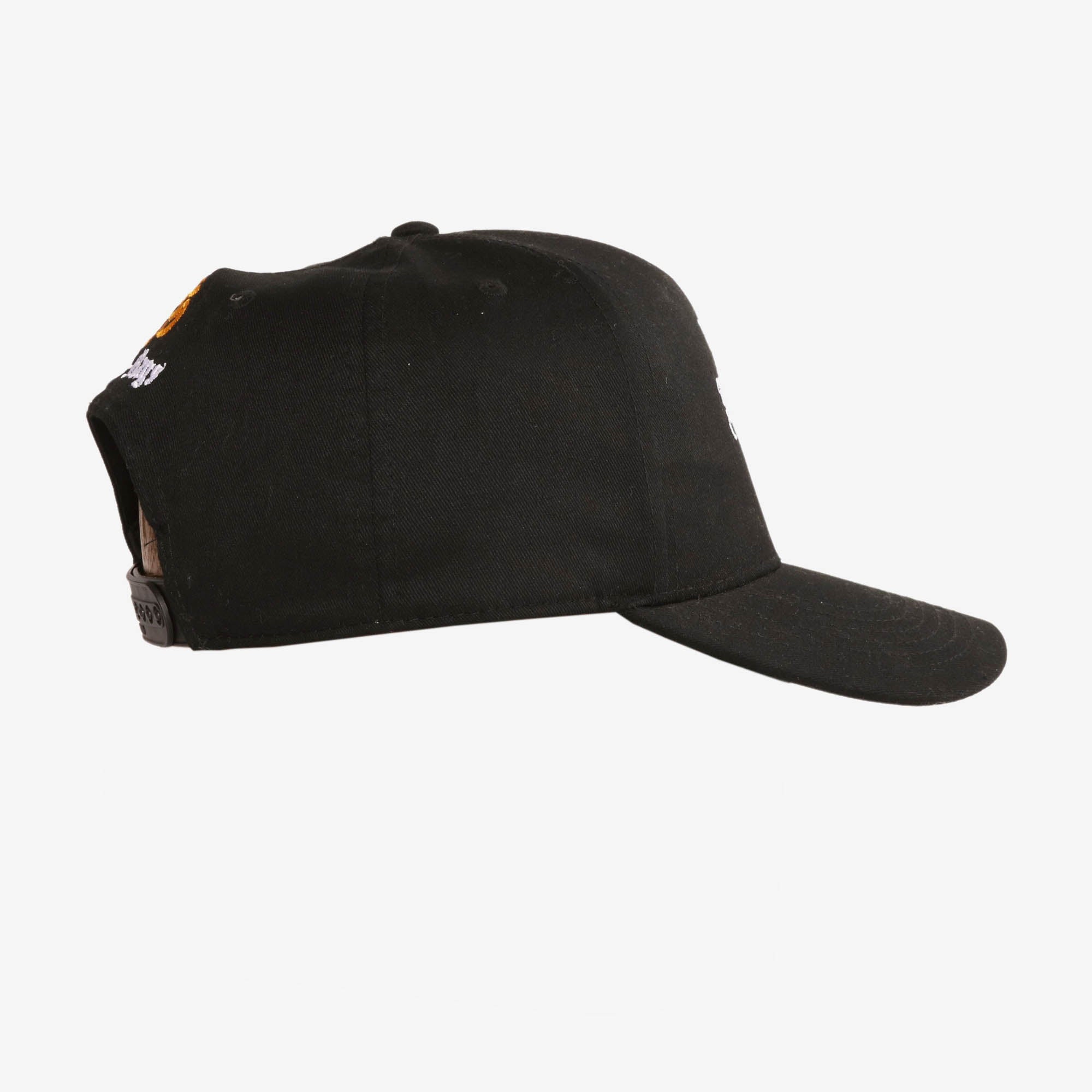 Down But Not Out Cap