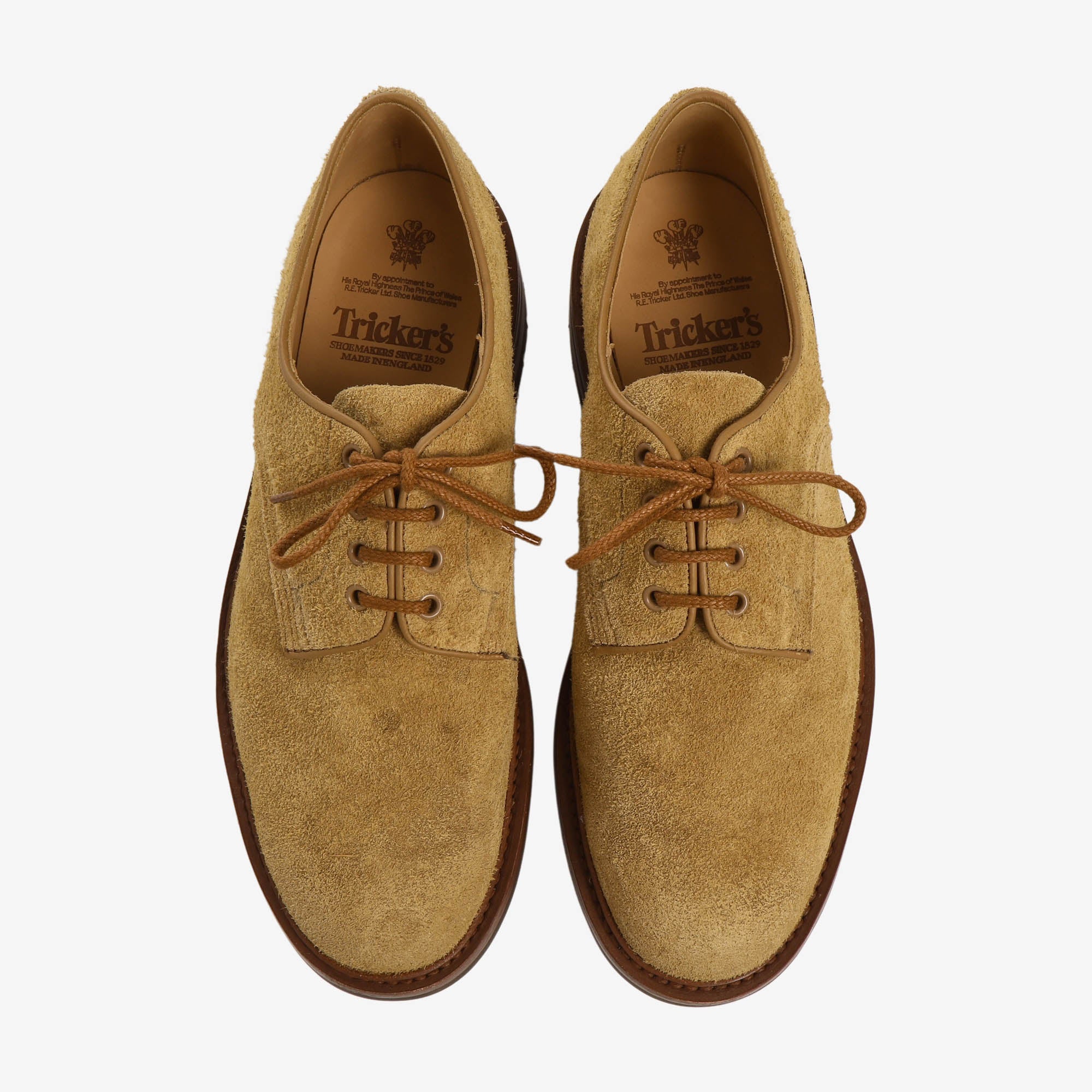 Daniel Tramping Shoe
