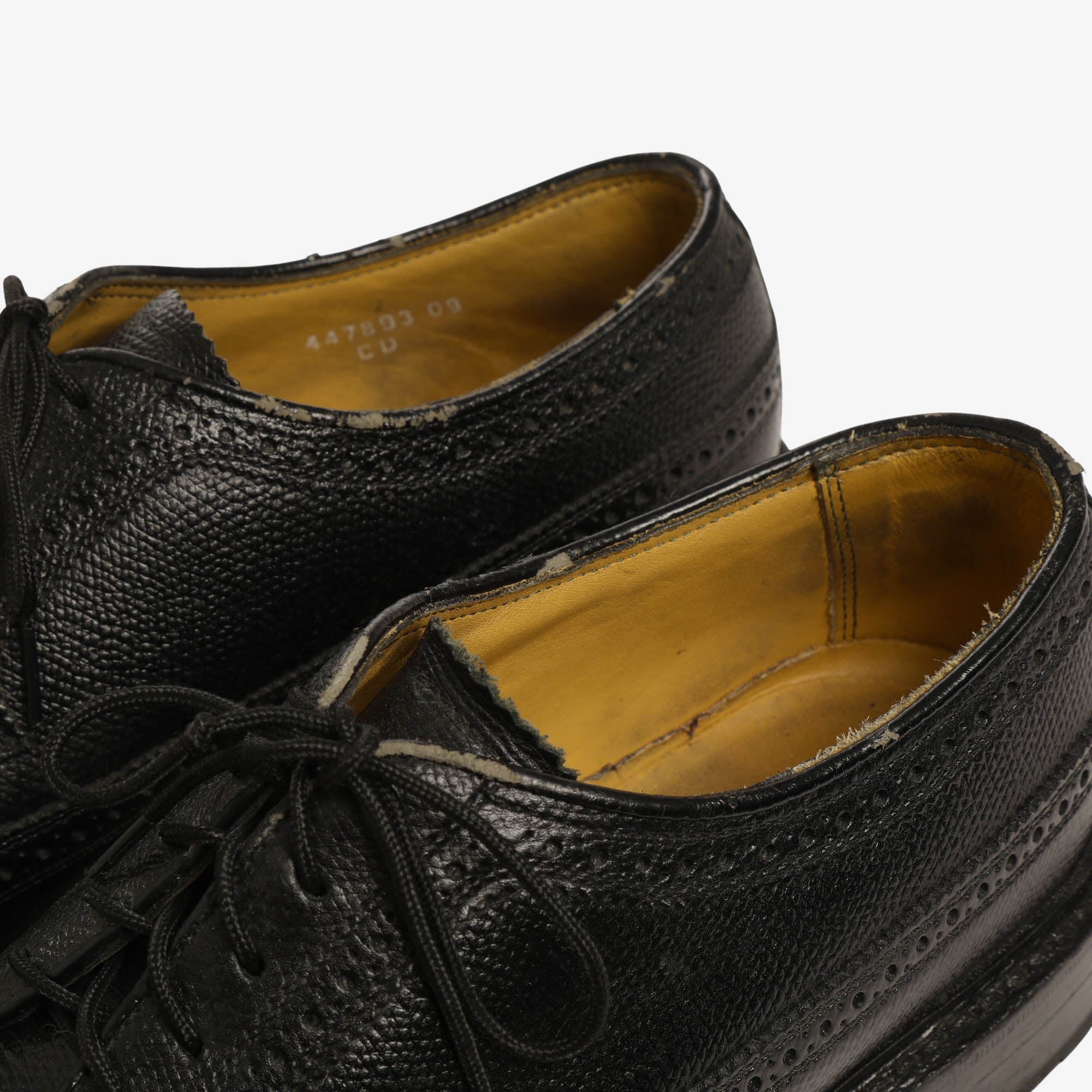 Grained Wingtip Oxford + Trees