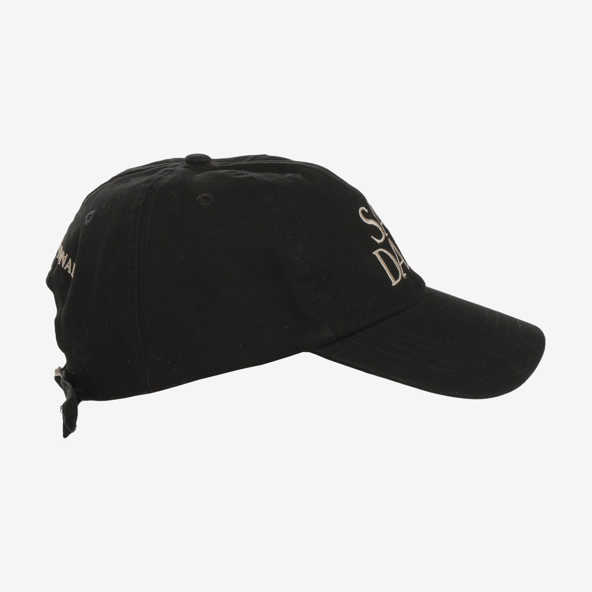 Sad Dads Hat (The National)