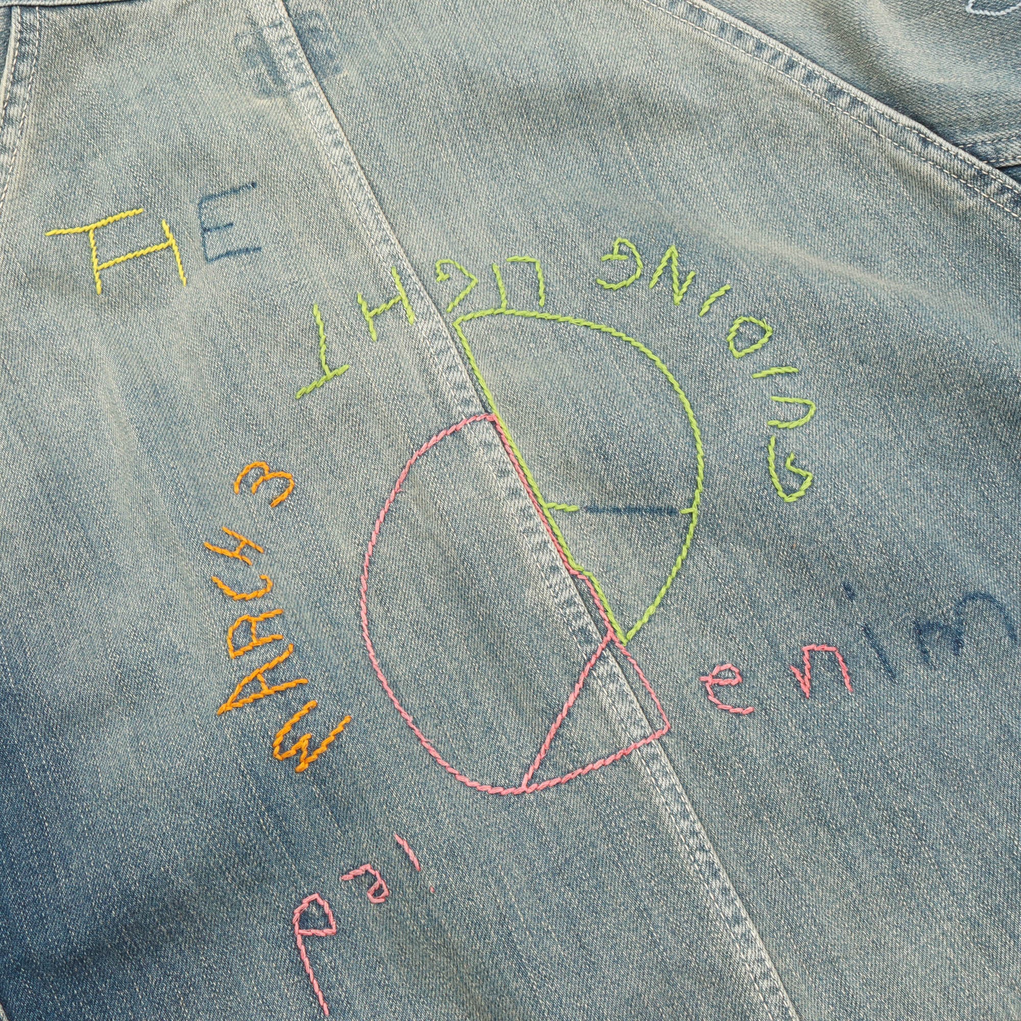Cactus Embroidered Denim Jacket