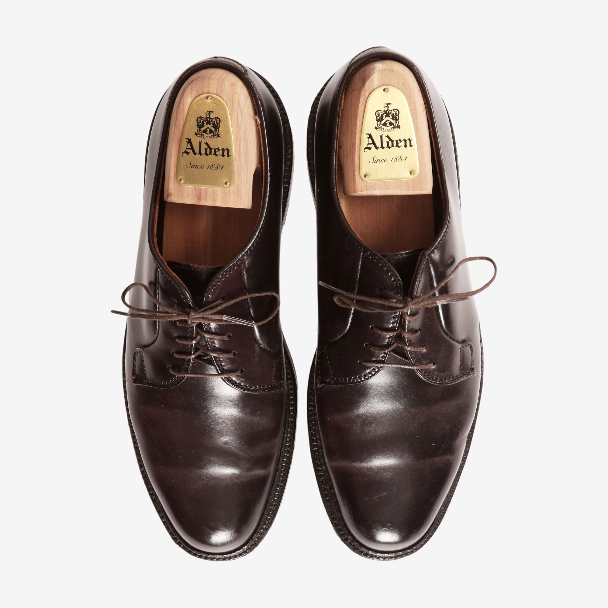 990 Cordovan Plain Toe Blucher + Trees (Clutch Cafe)