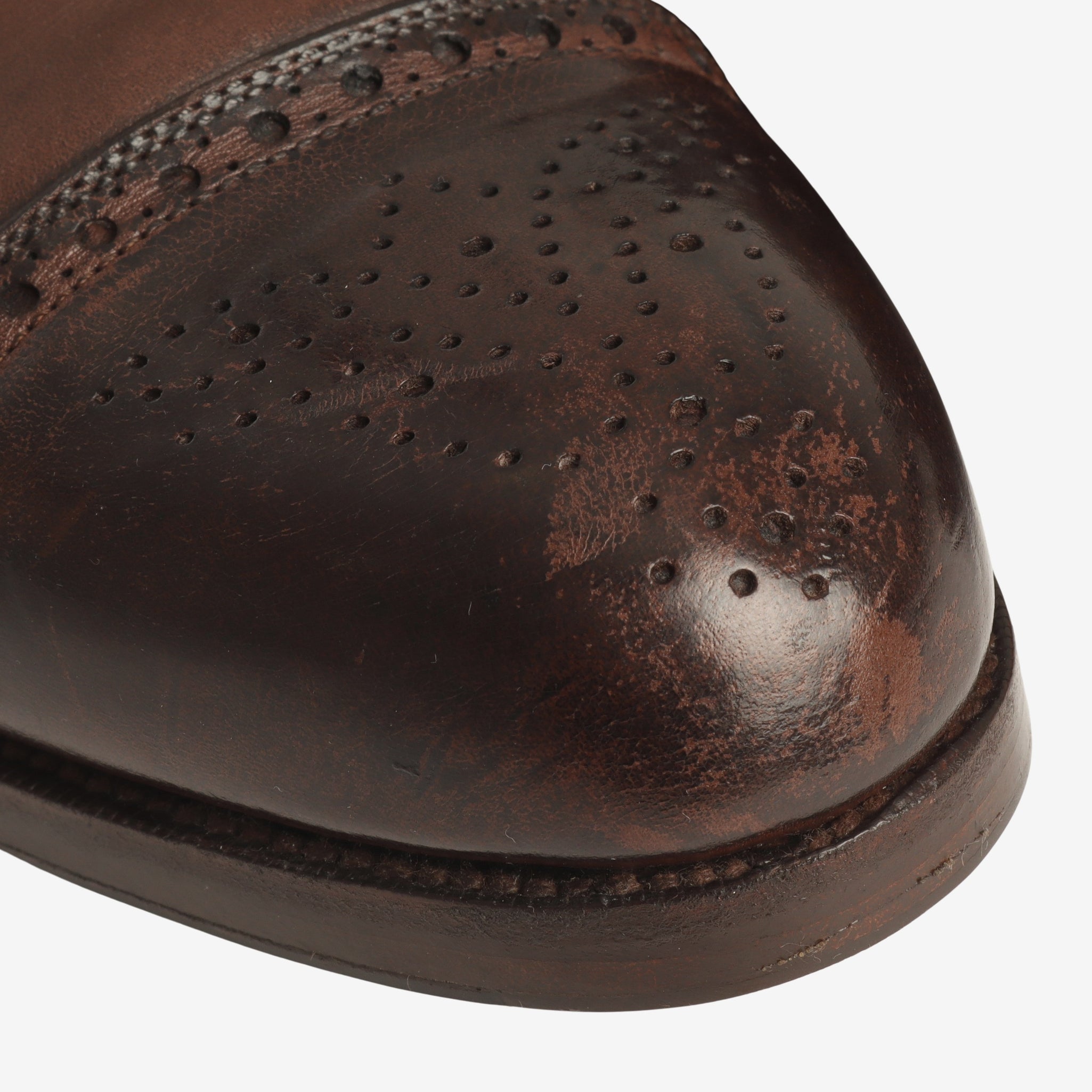 Derby Half Brogue (Hackett)