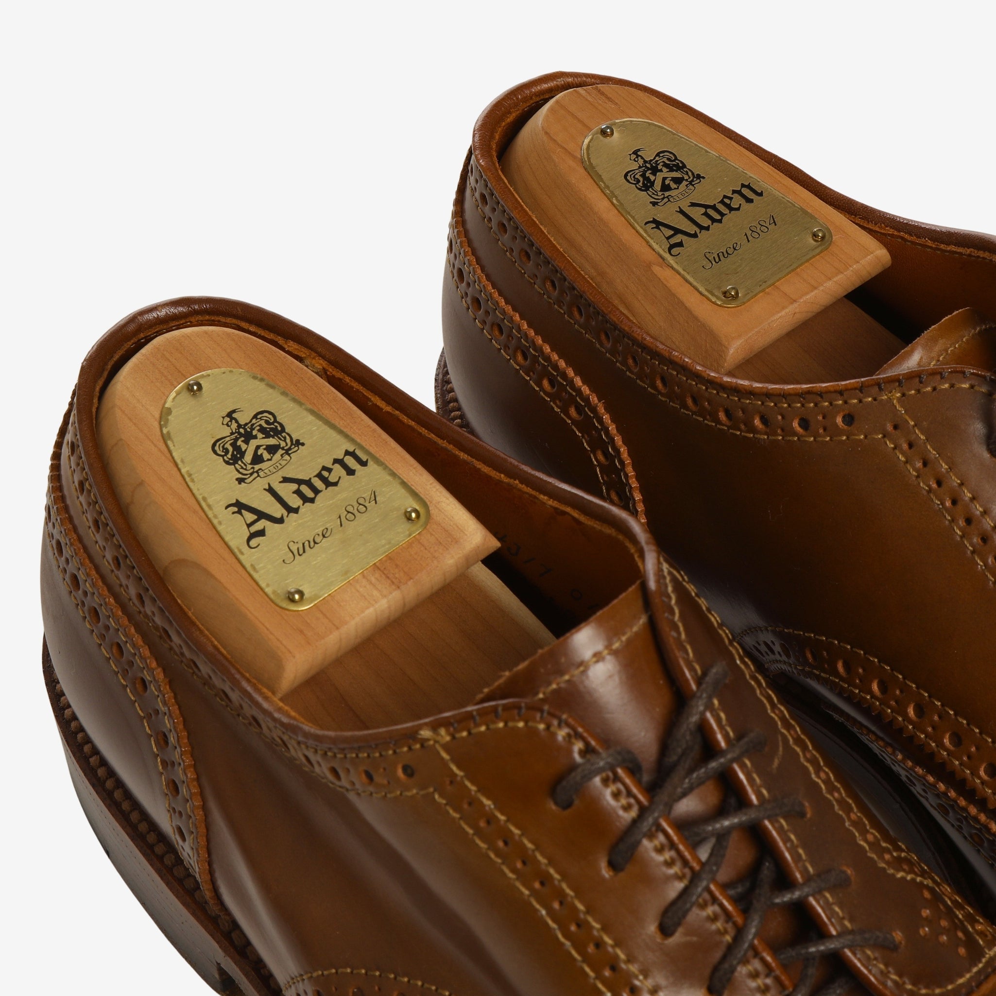20481 Cordovan Short Wing Blucher + Trees