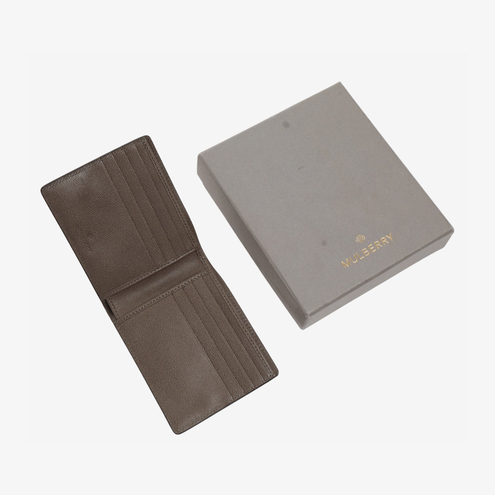 Satchel Wallet