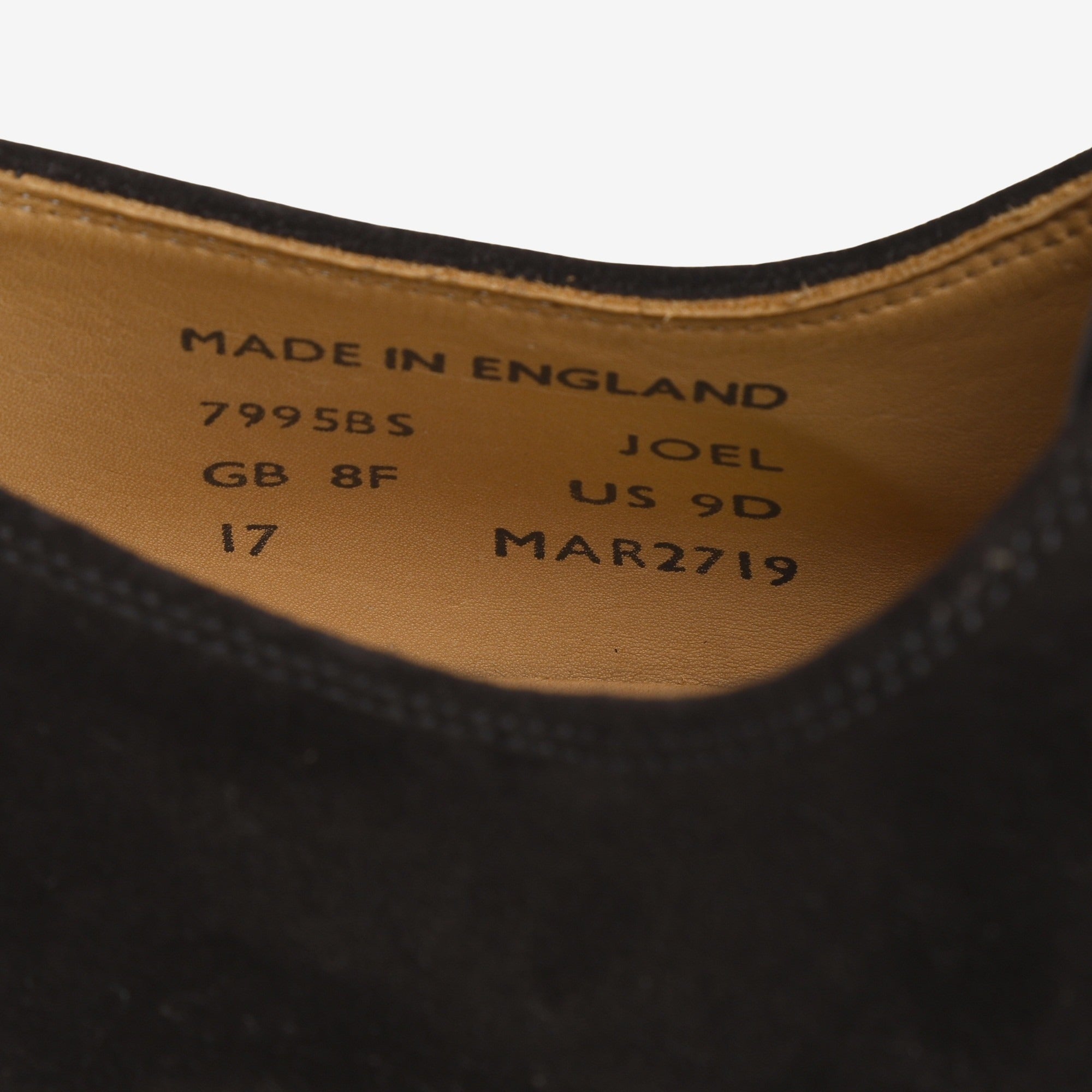 LoTop Suede Shoes