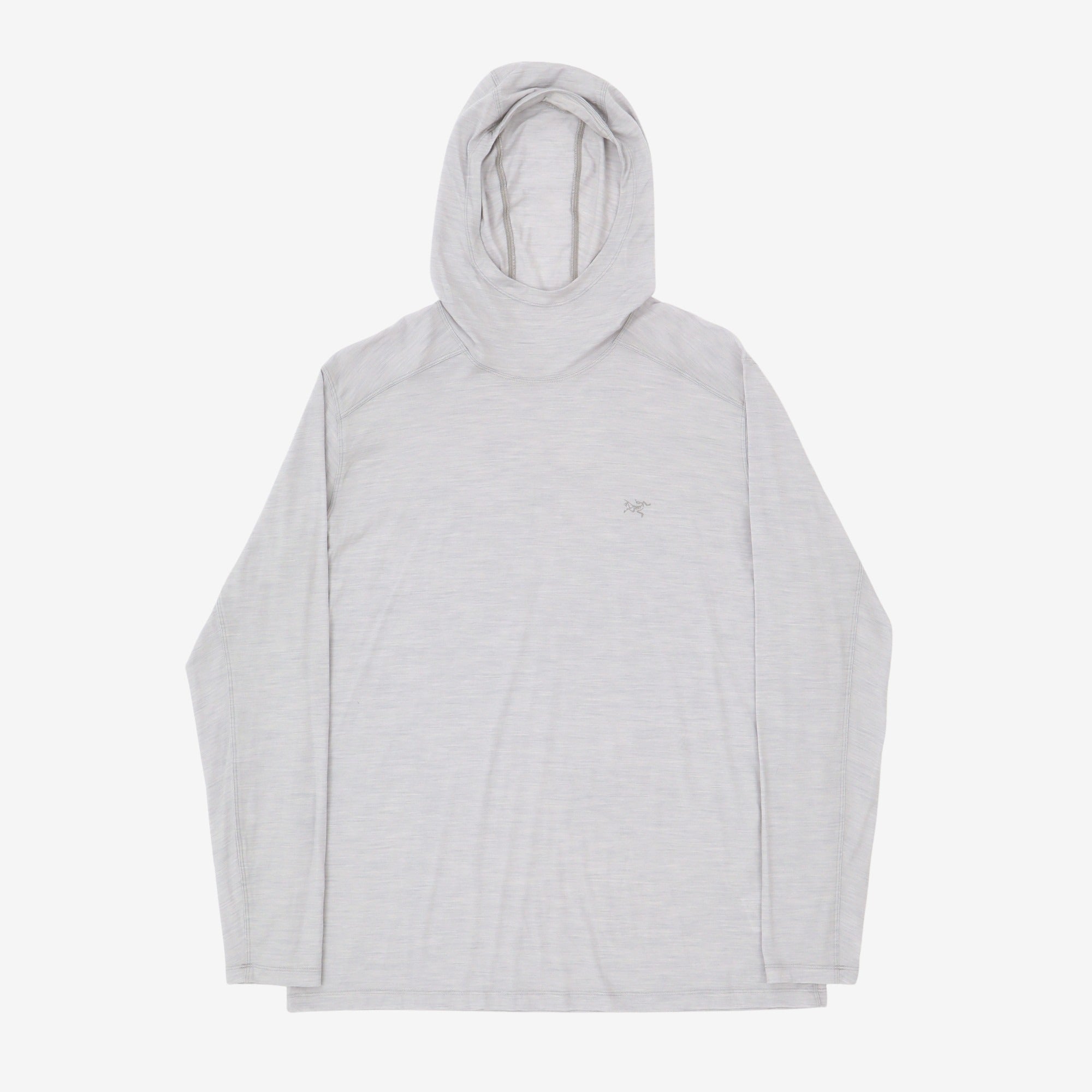 Ionia Merino Wool Hoody