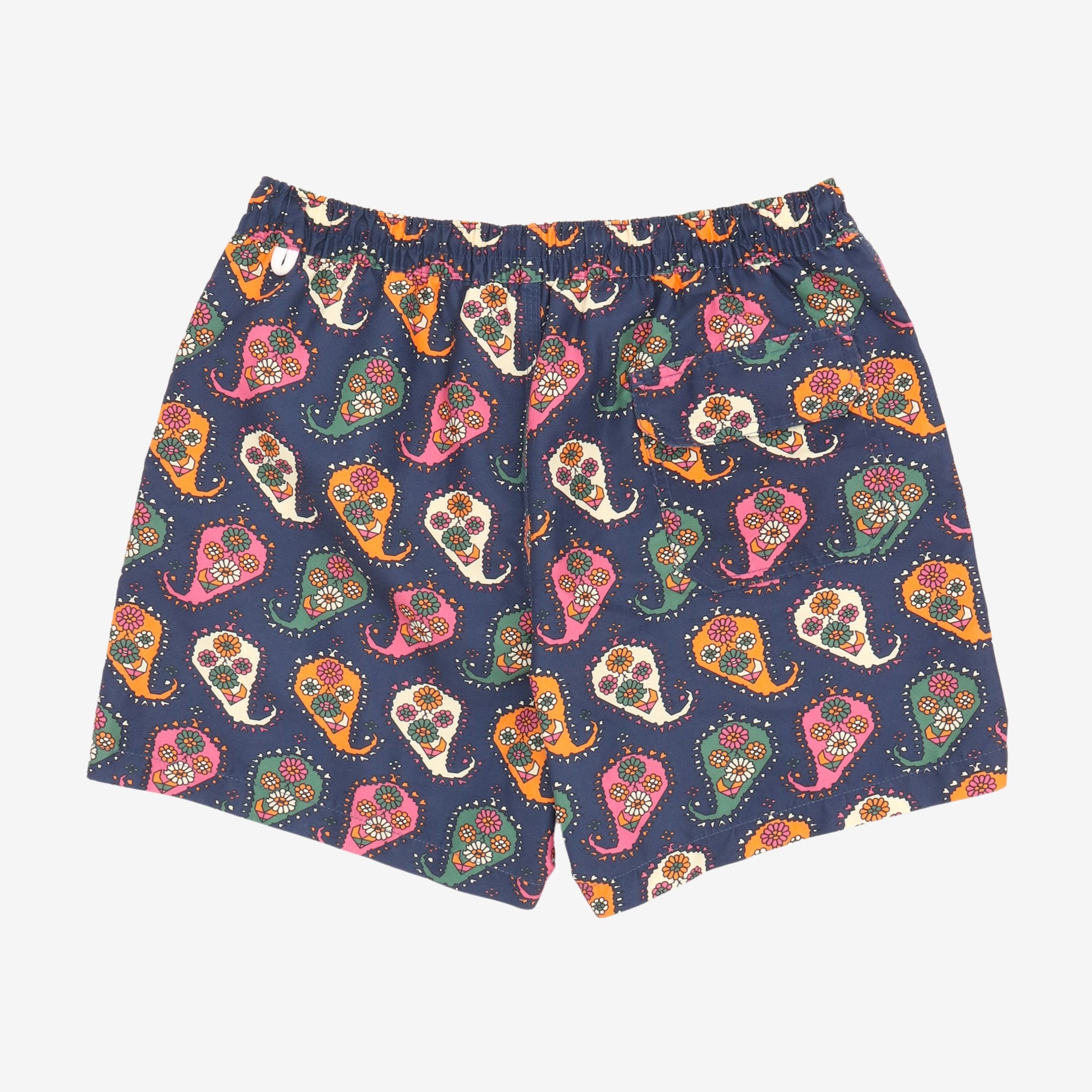Paisley Print Swim Shorts (30W)
