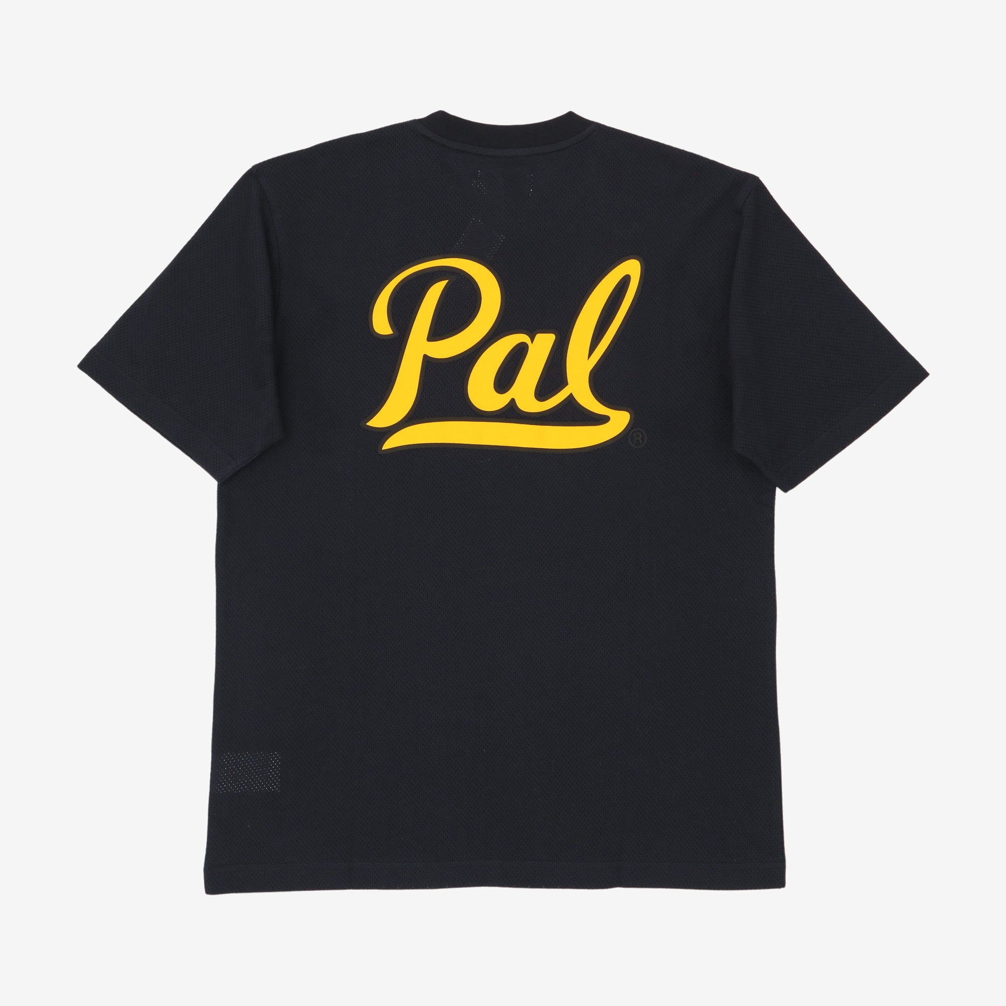 Pal Mesh Tee