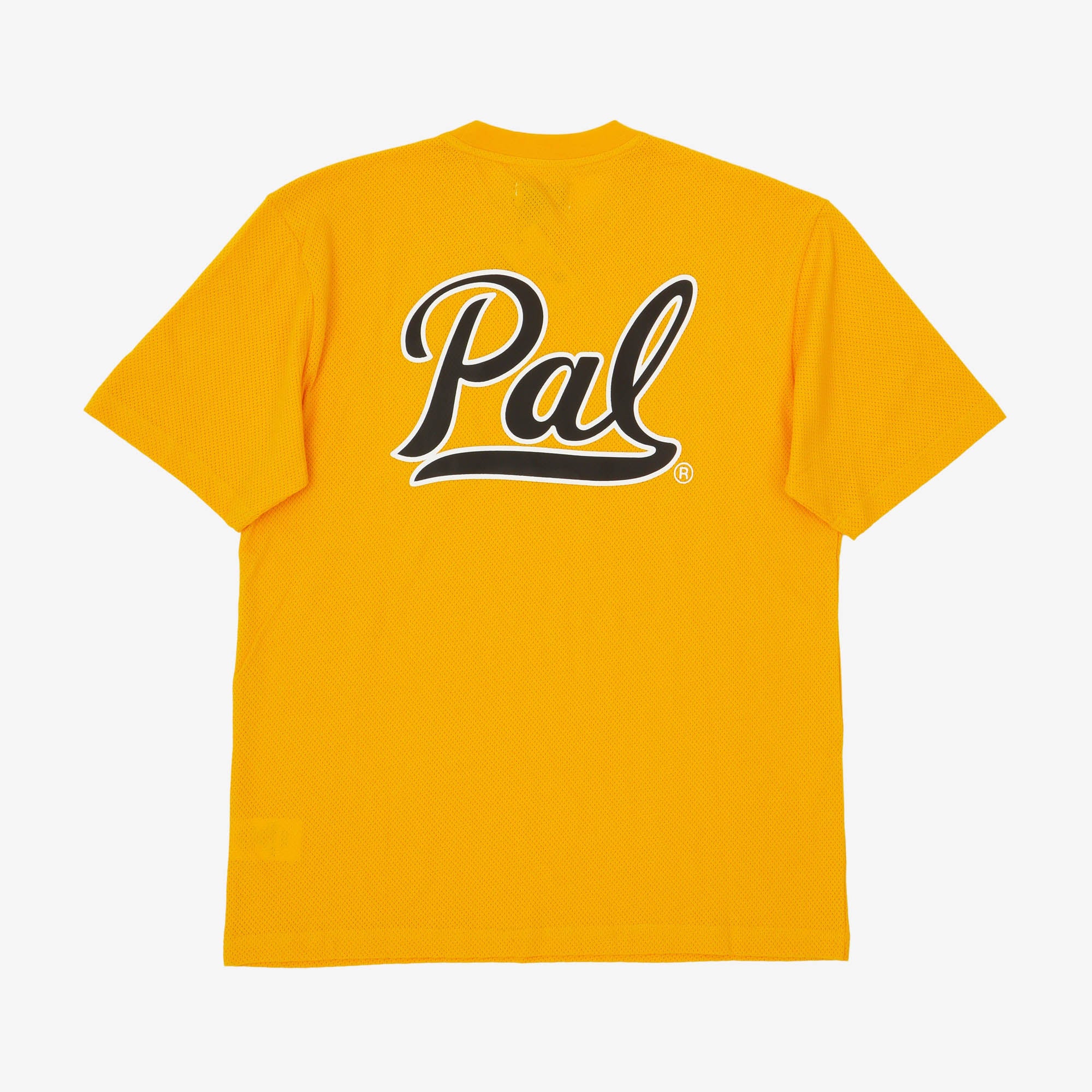 Pal Mesh Tee