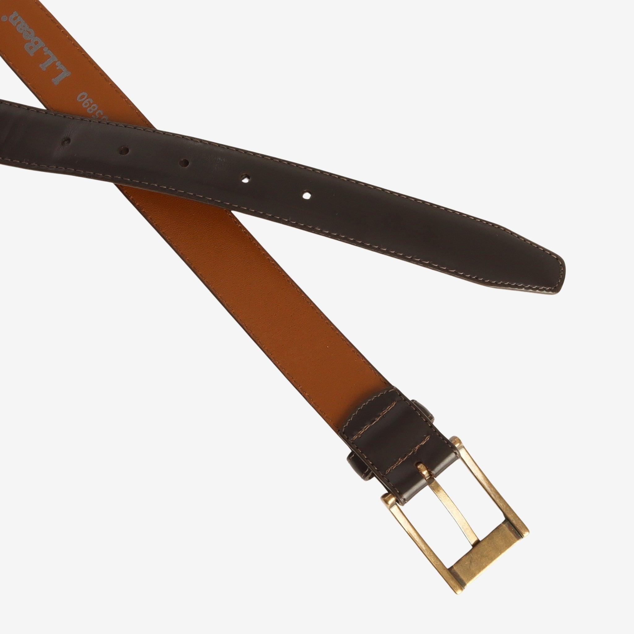 Rugged Roller Belt