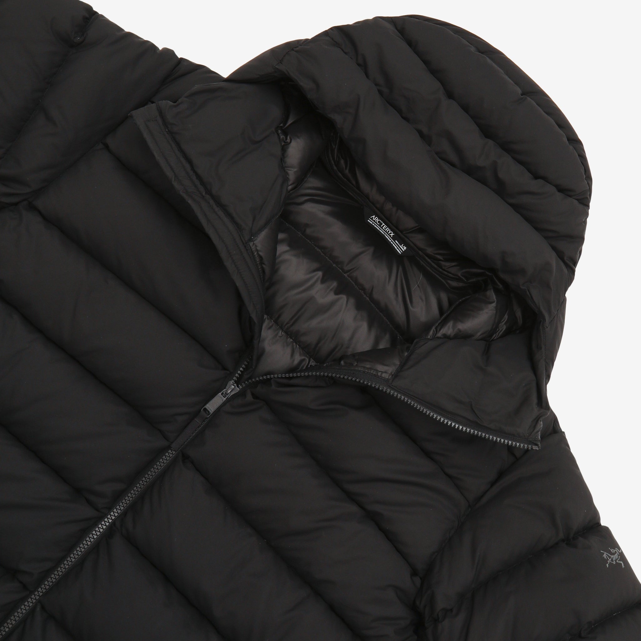 Piedmont Coat
