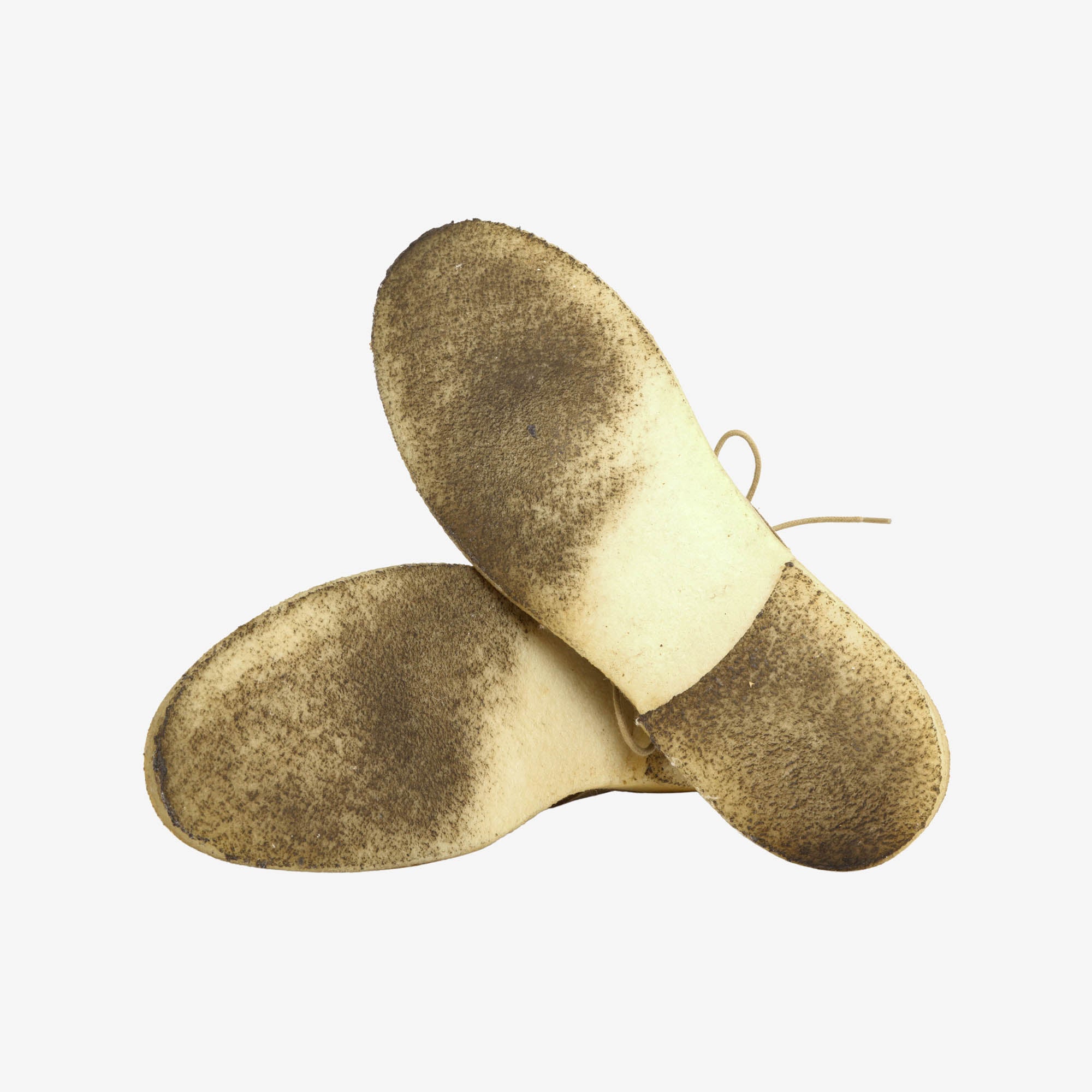 Suede Coastflex Shoes