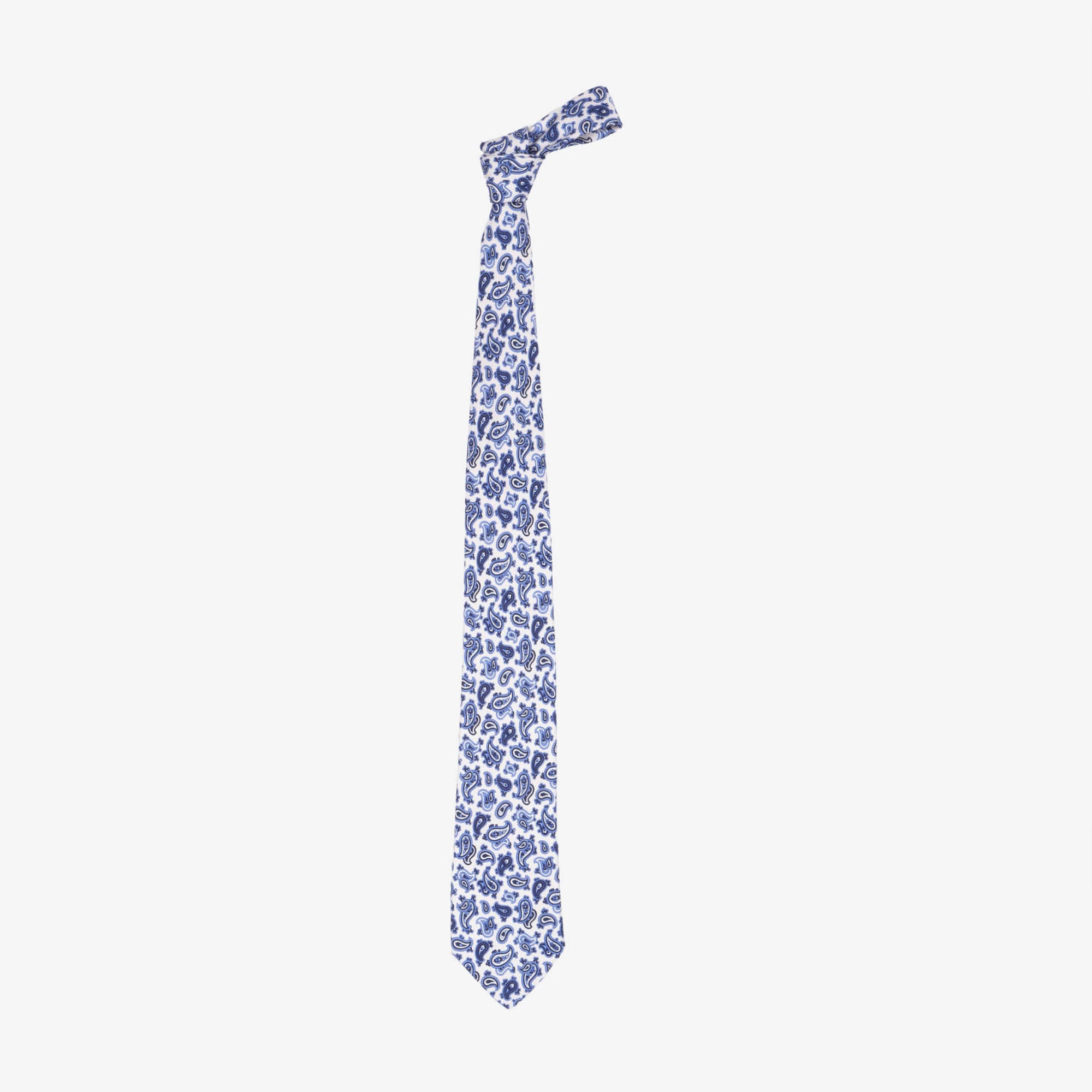 Paisley Silk Tie
