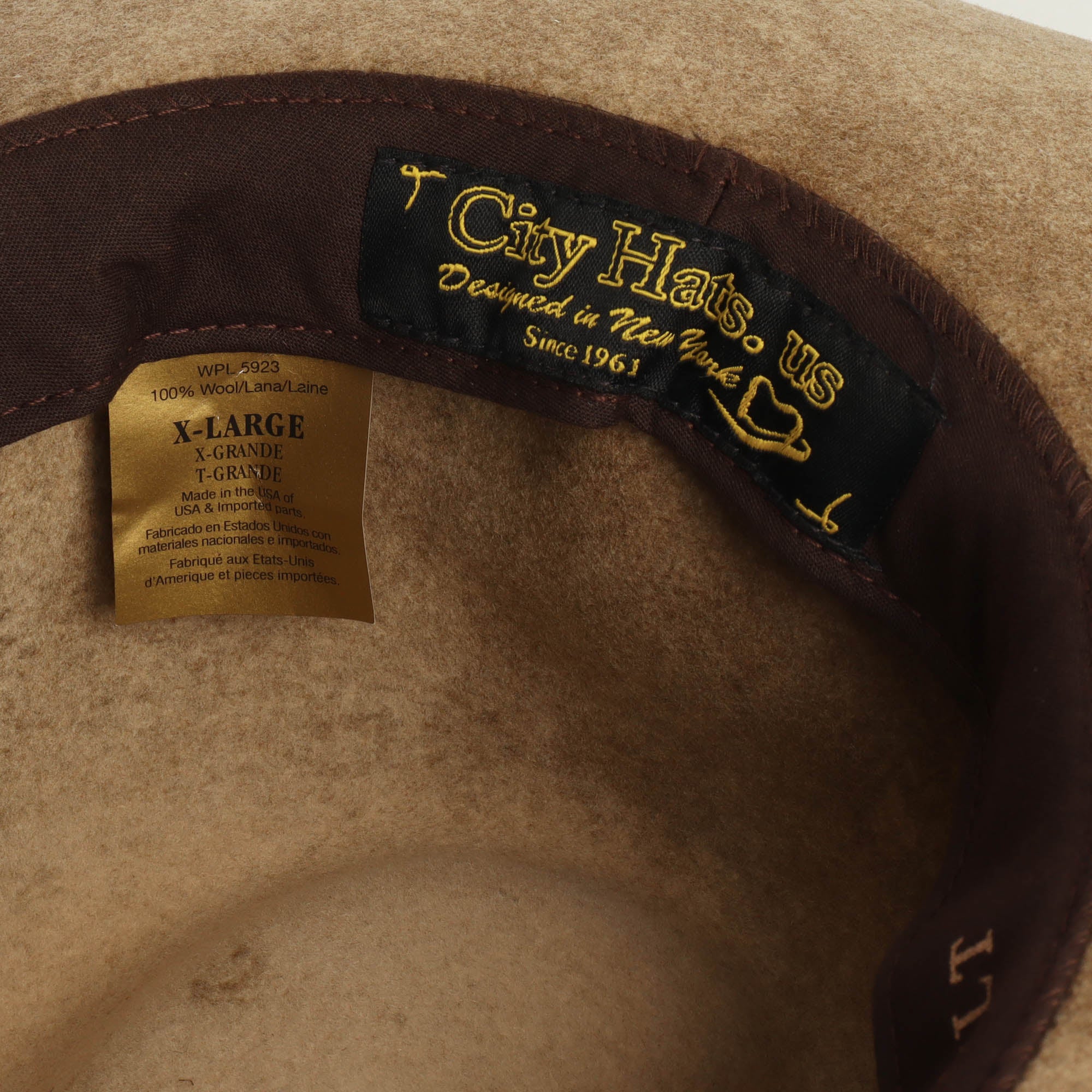 Wide Brim Fedora