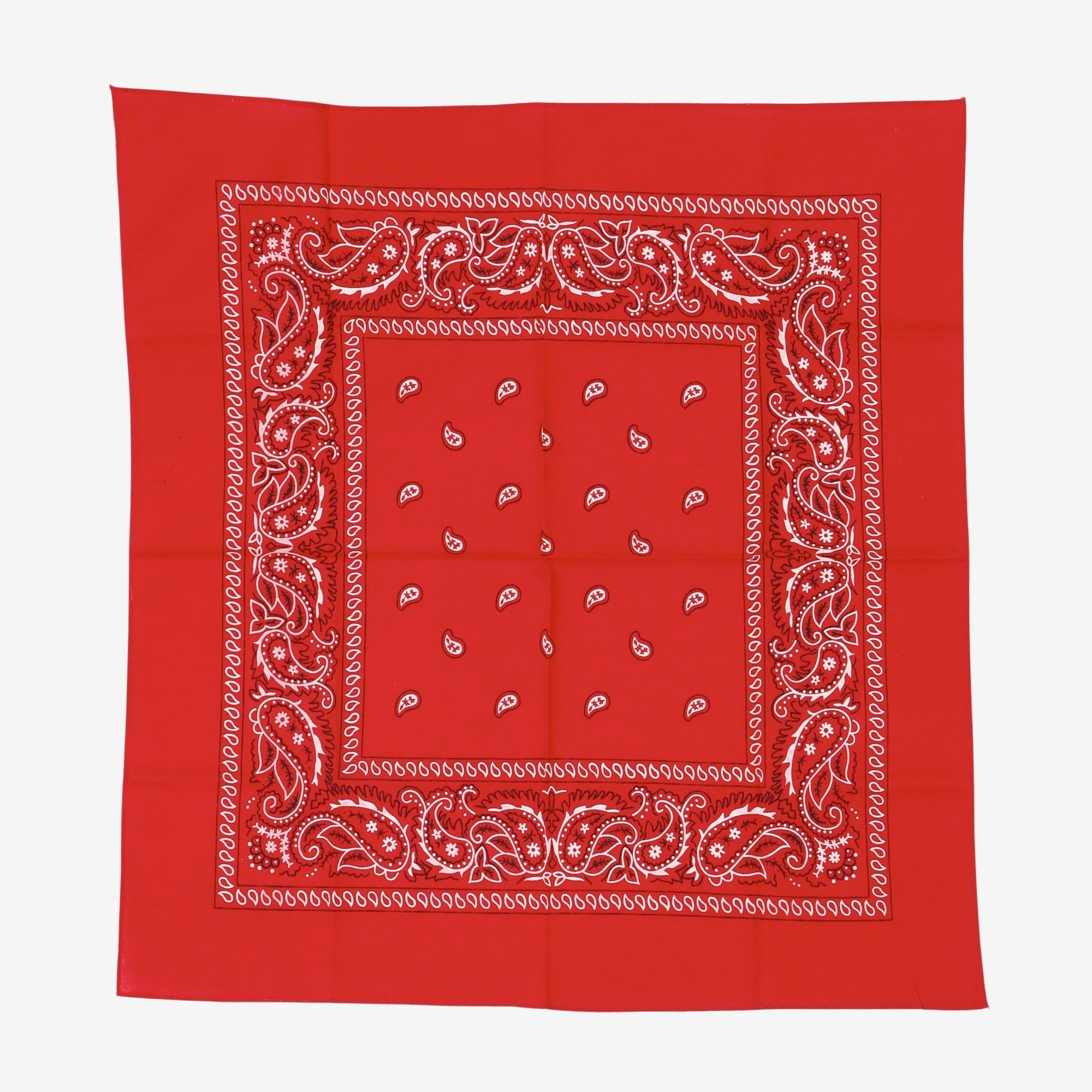 Paisley Bandana