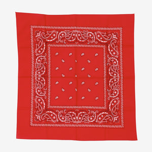 Paisley Bandana