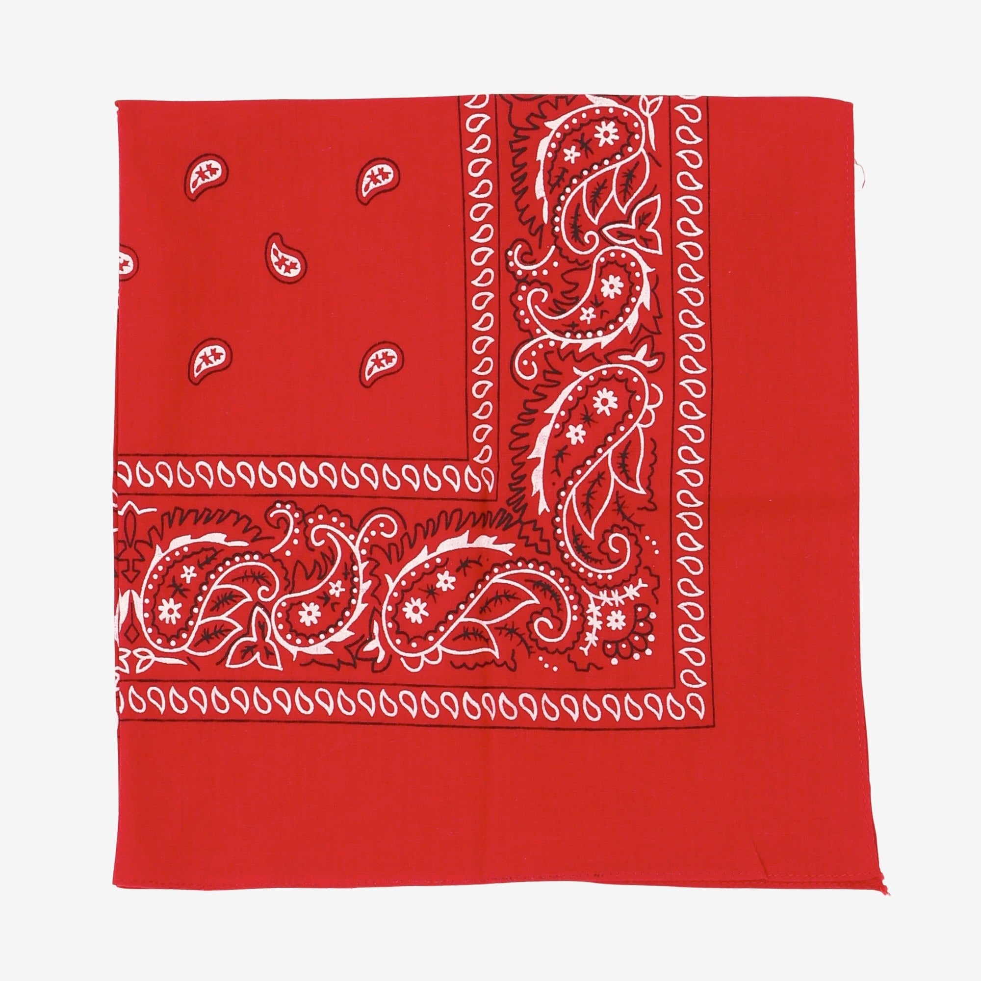 Paisley Bandana
