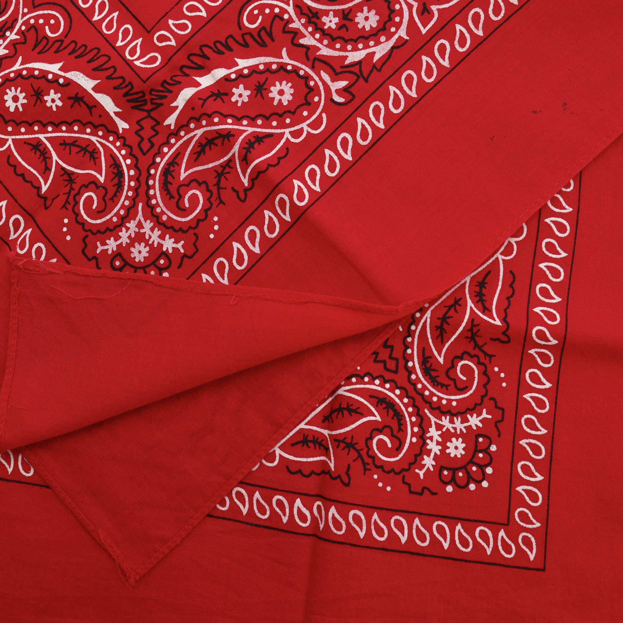 Paisley Bandana