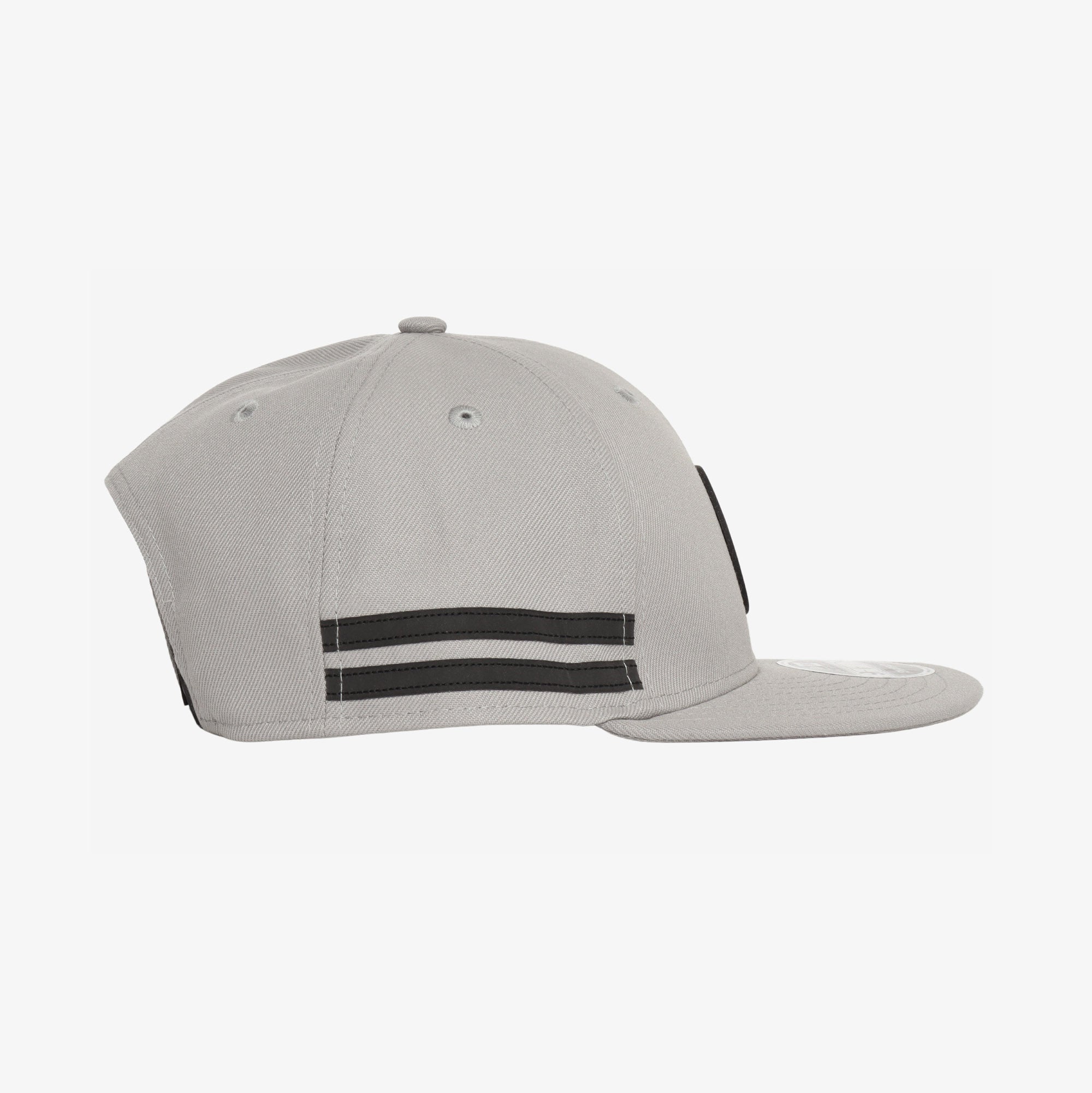 Artic Disc Snapback Cap