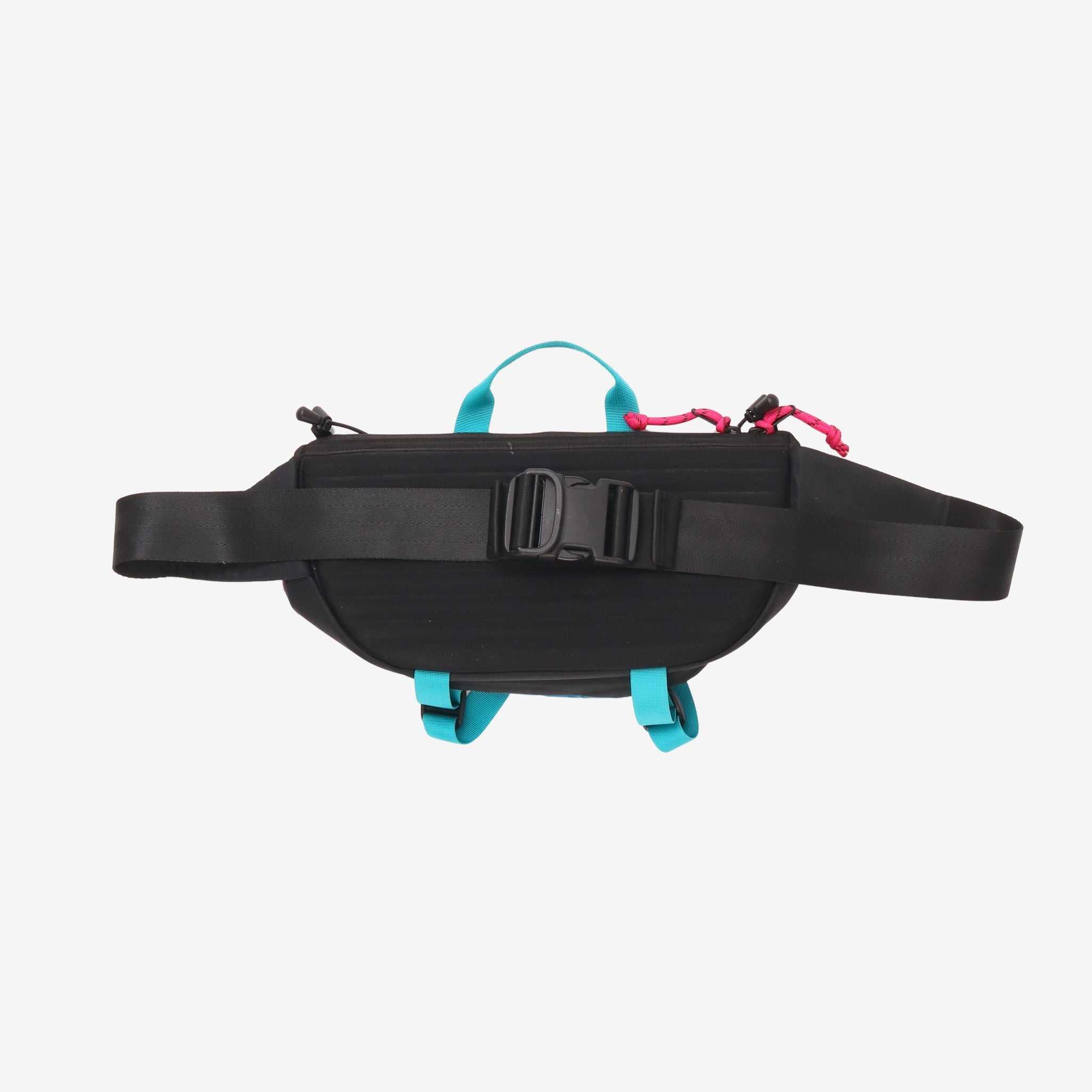 Mountain Waist Pack