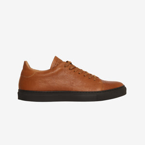 The Mellor II Sneaker
