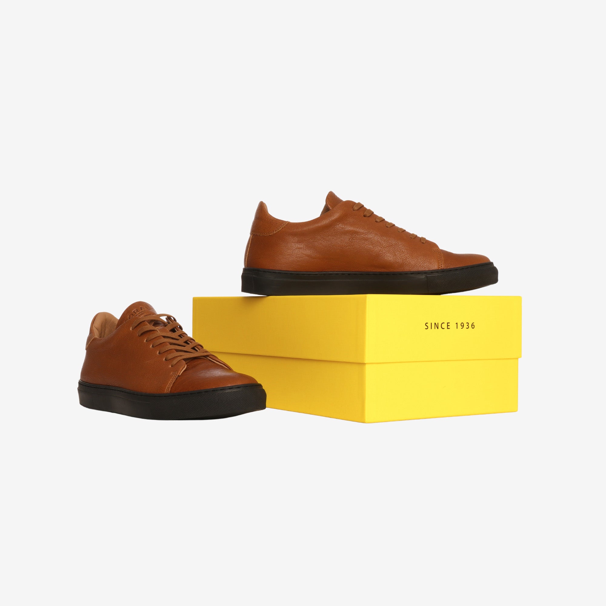 The Mellor II Sneaker