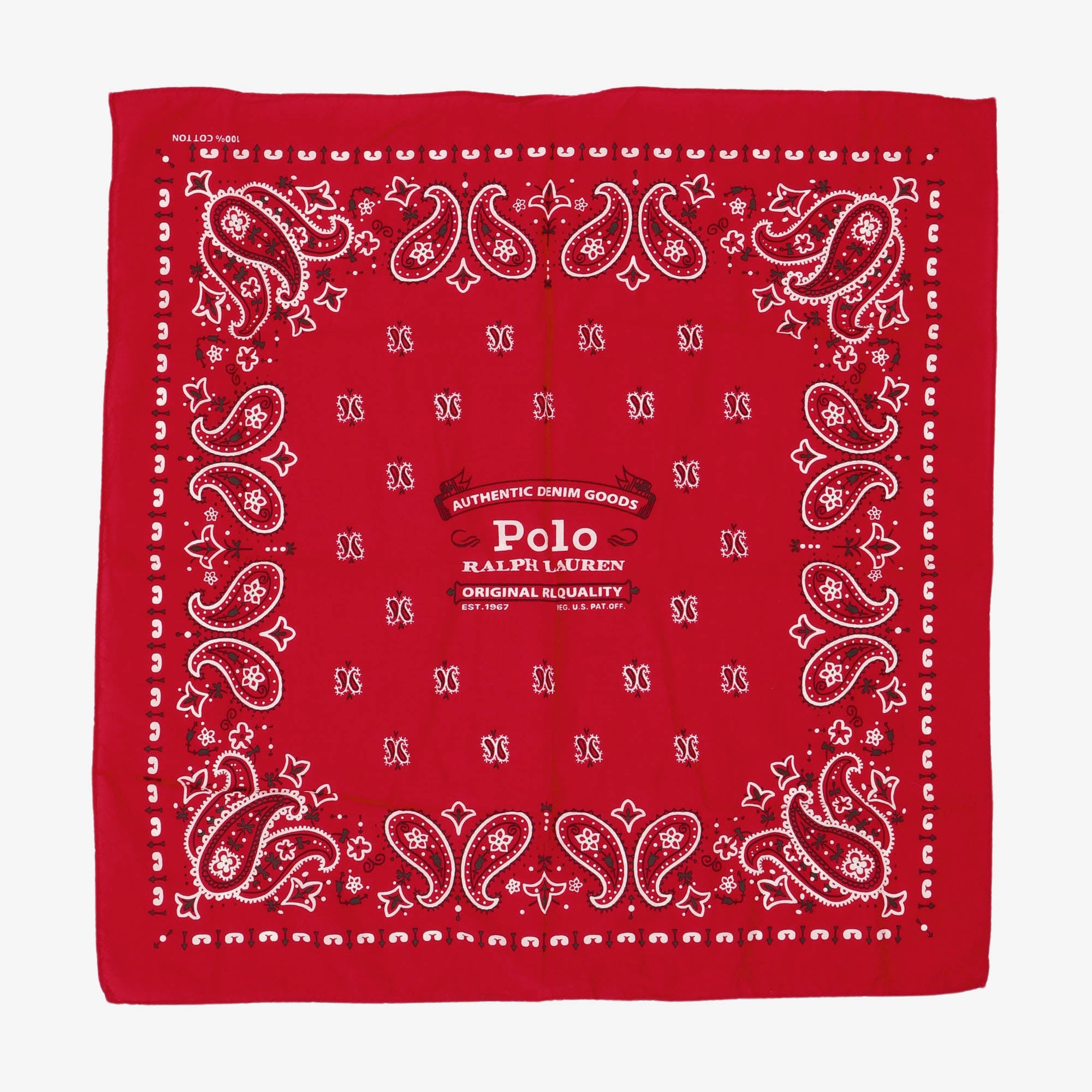 Paisley Bandana