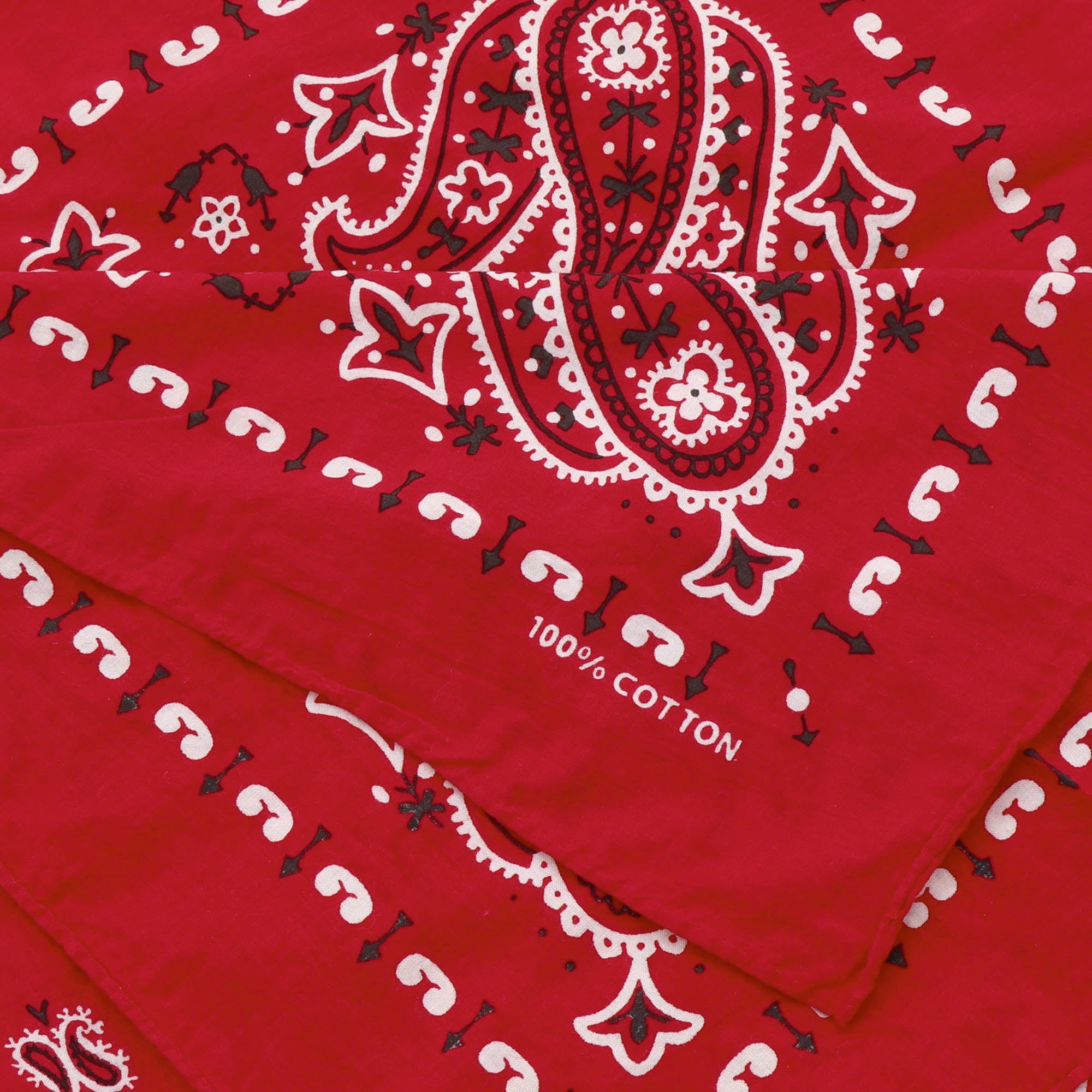 Paisley Bandana