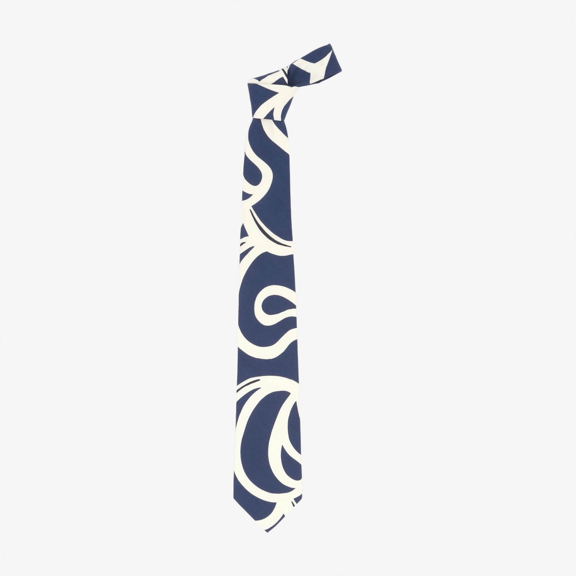 Big Paisley Silk Tie