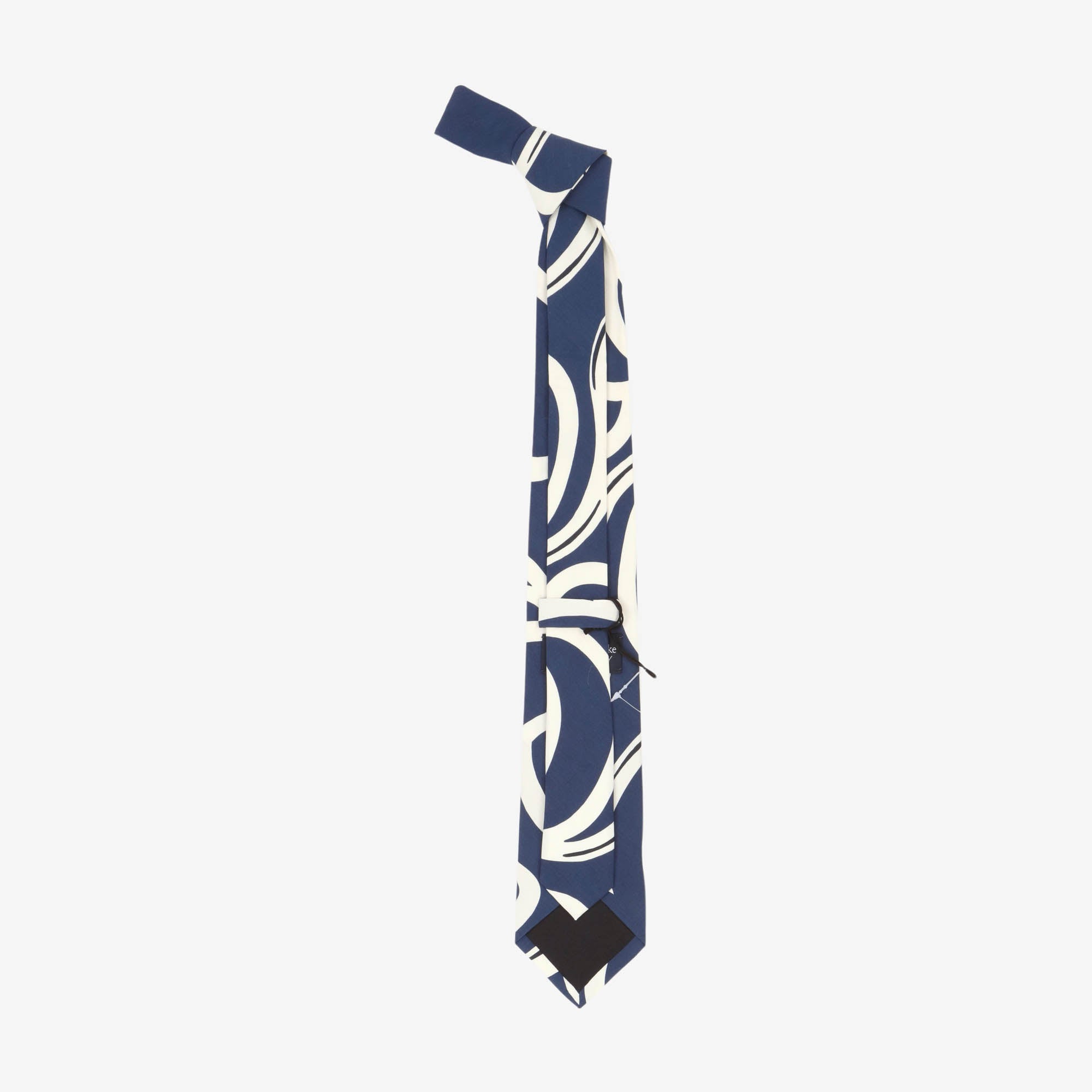 Big Paisley Silk Tie