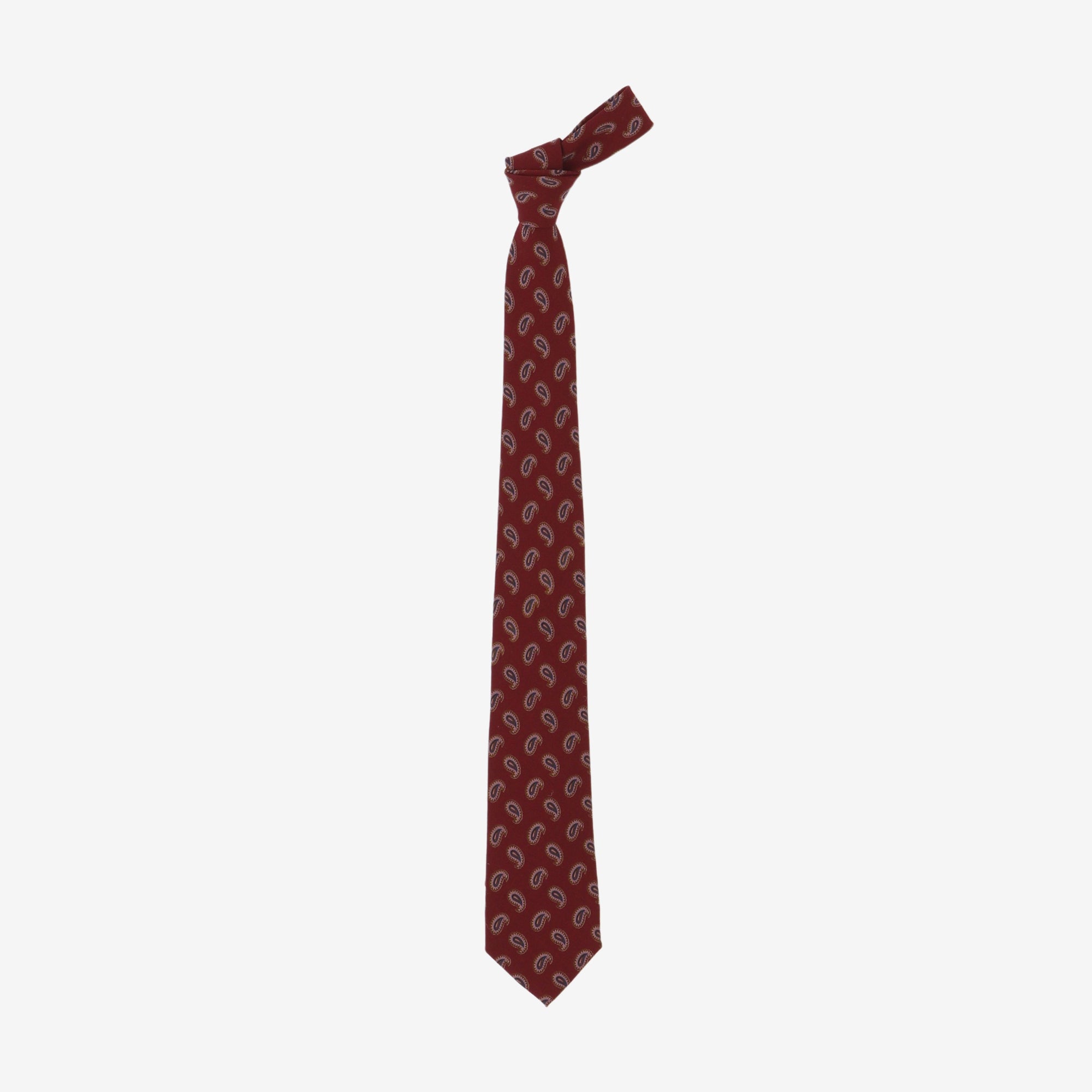 Paisley Wool Silk Tie