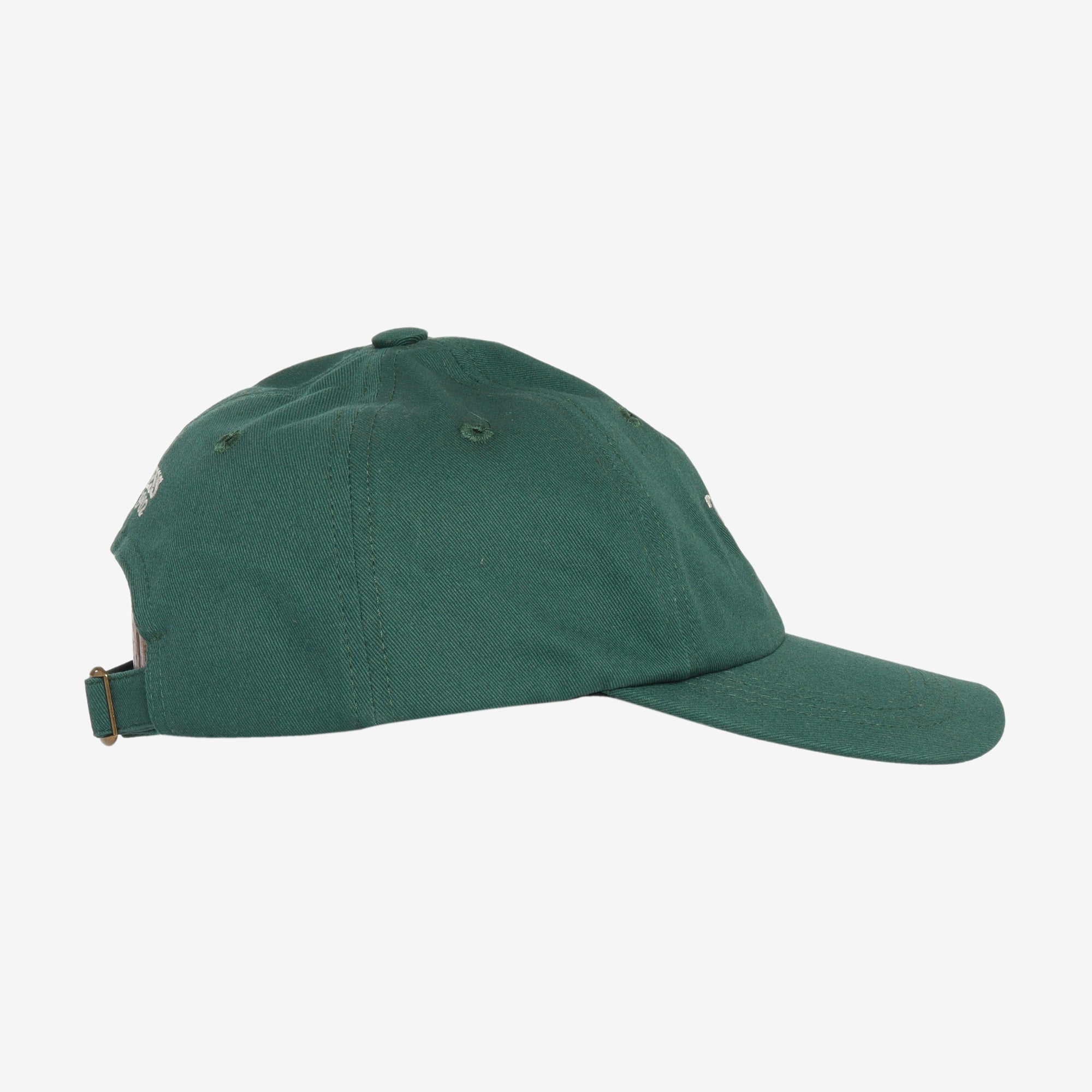 Take Ivy Green Dad Hat