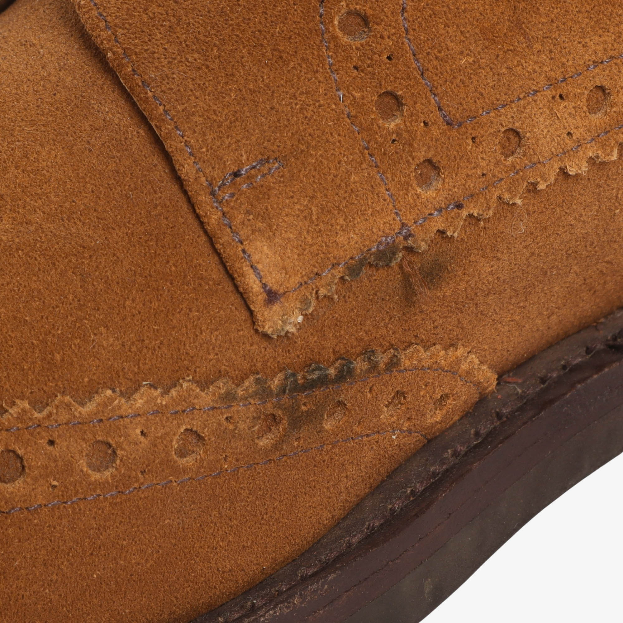 Suede Derby Brogues + Trees