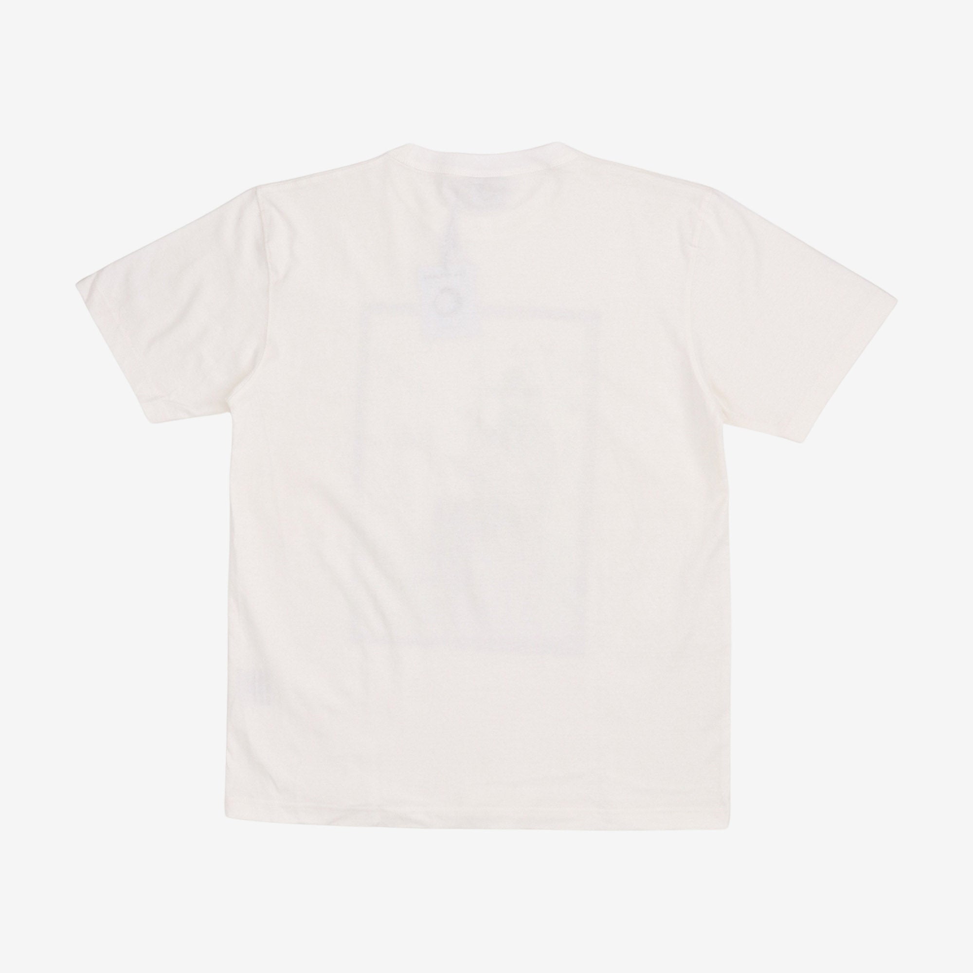 If I Could Only Fly Tee