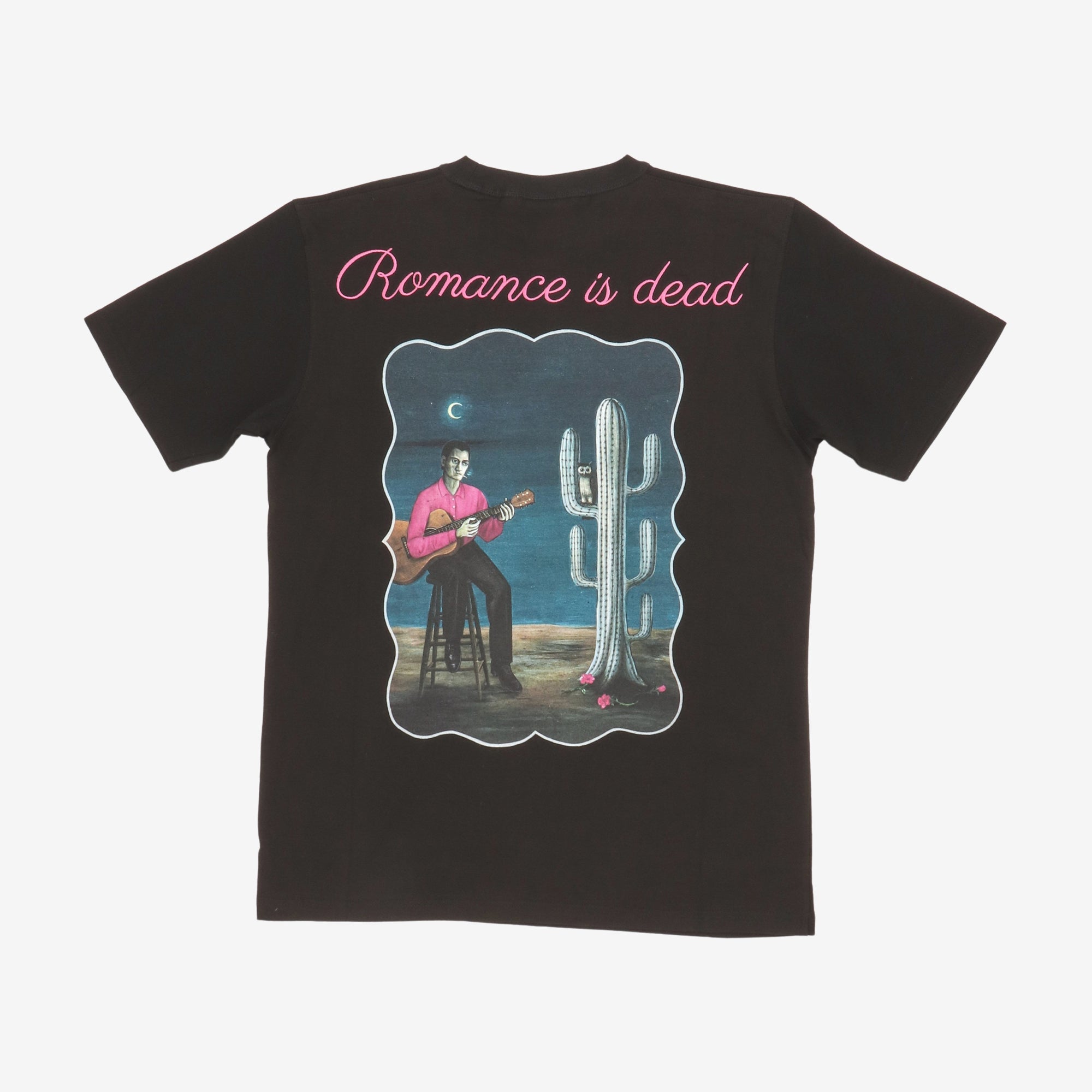 Haunted By A Owl Tee